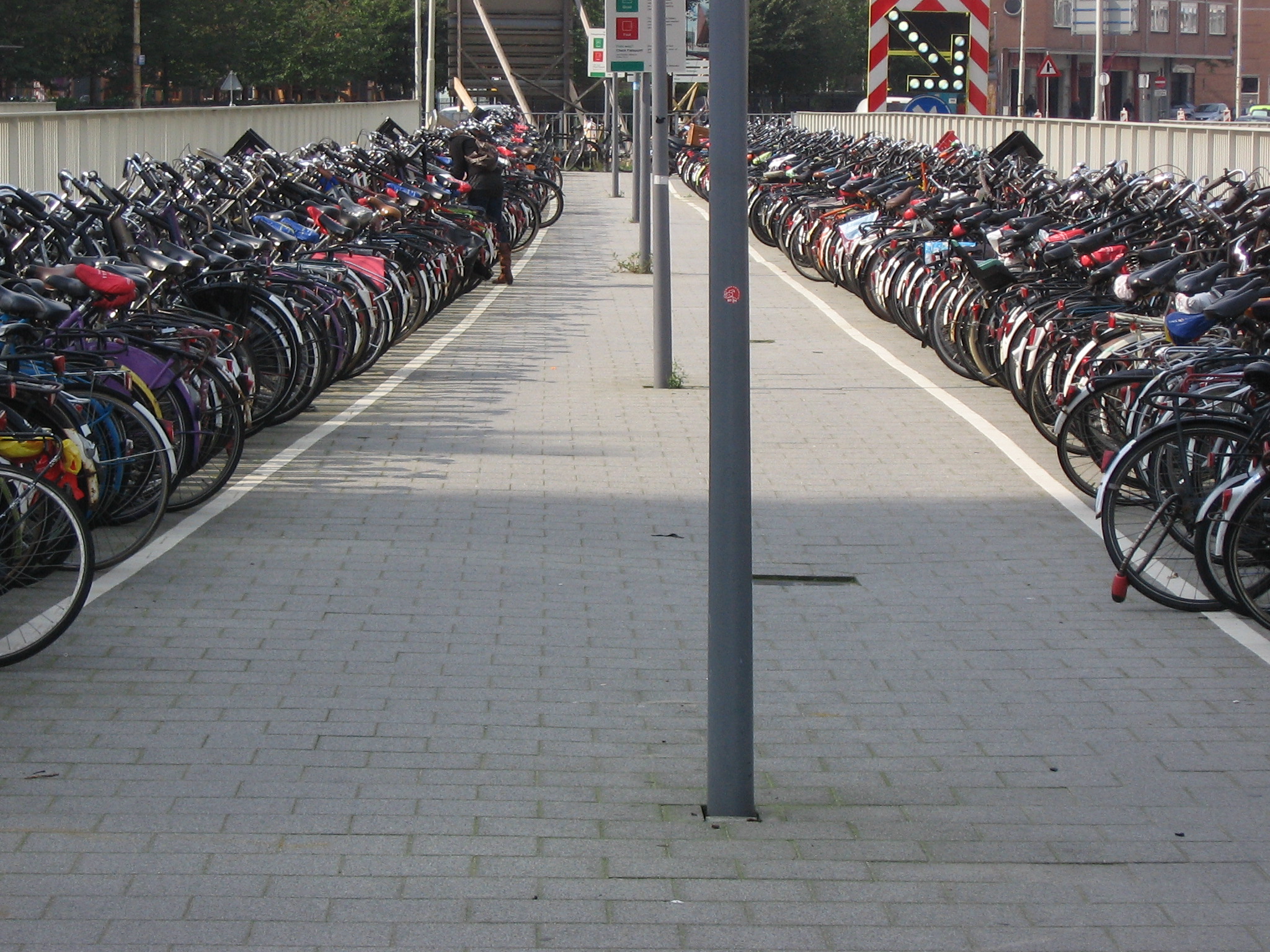 Daily Bible Reading - Tuesday, February 13