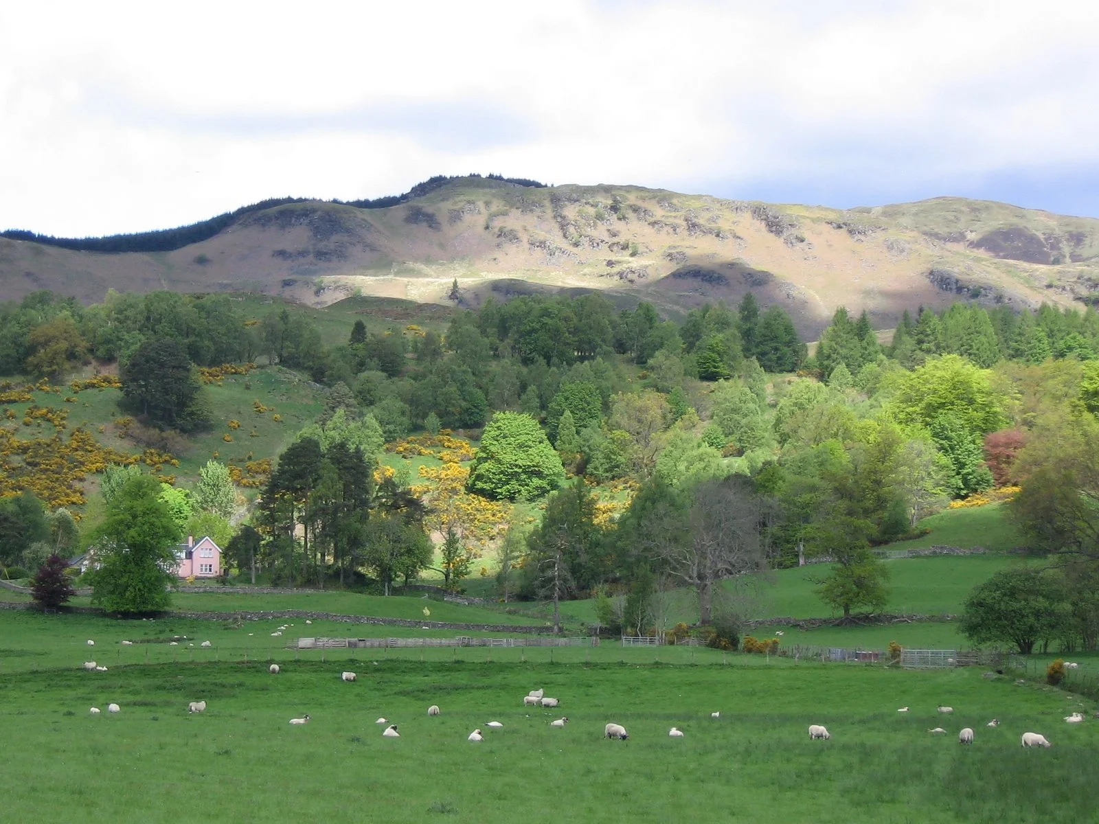 Daily Bible Reading - Sunday, March 11