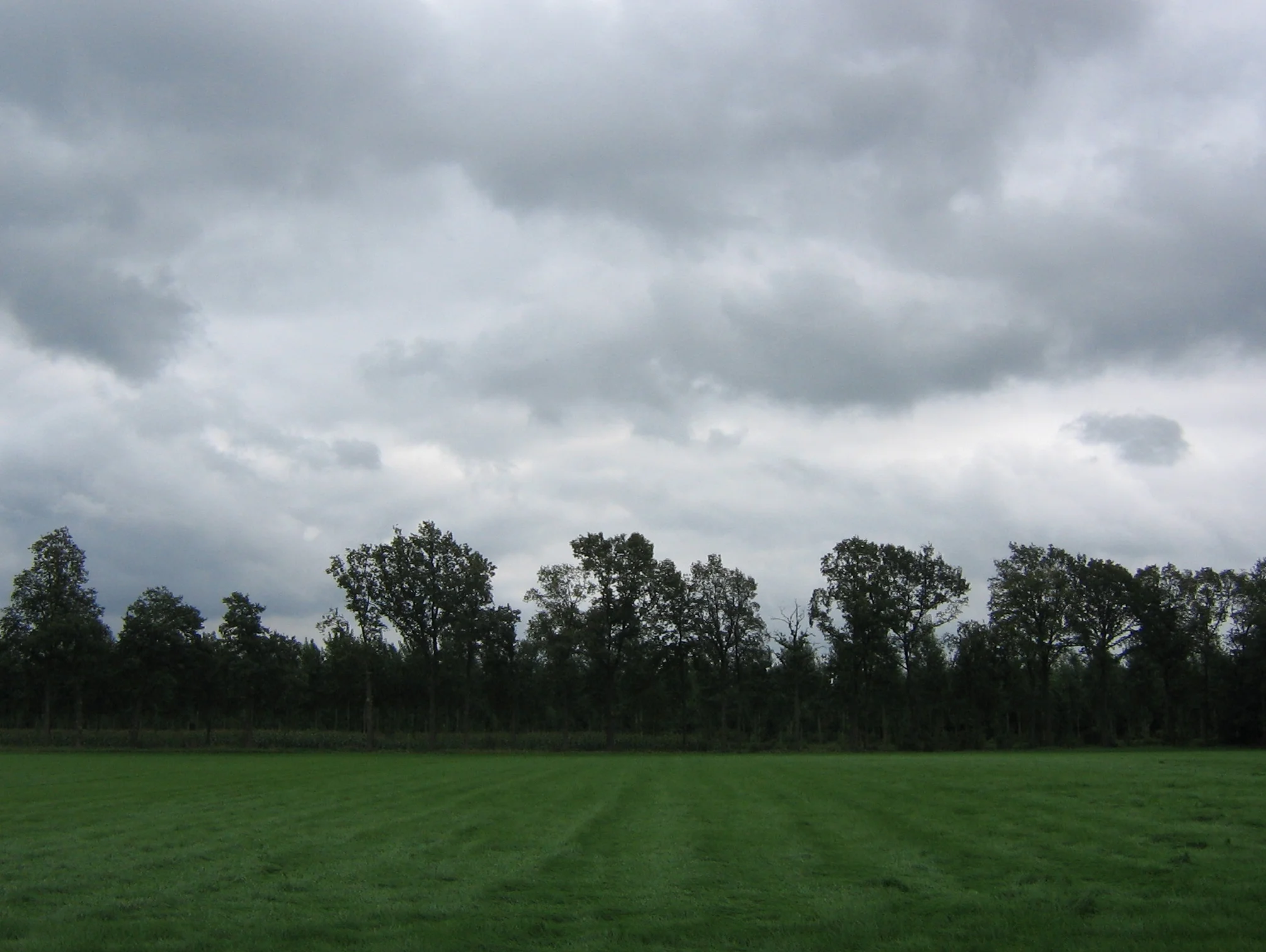 Daily Bible Reading - Friday, June 1