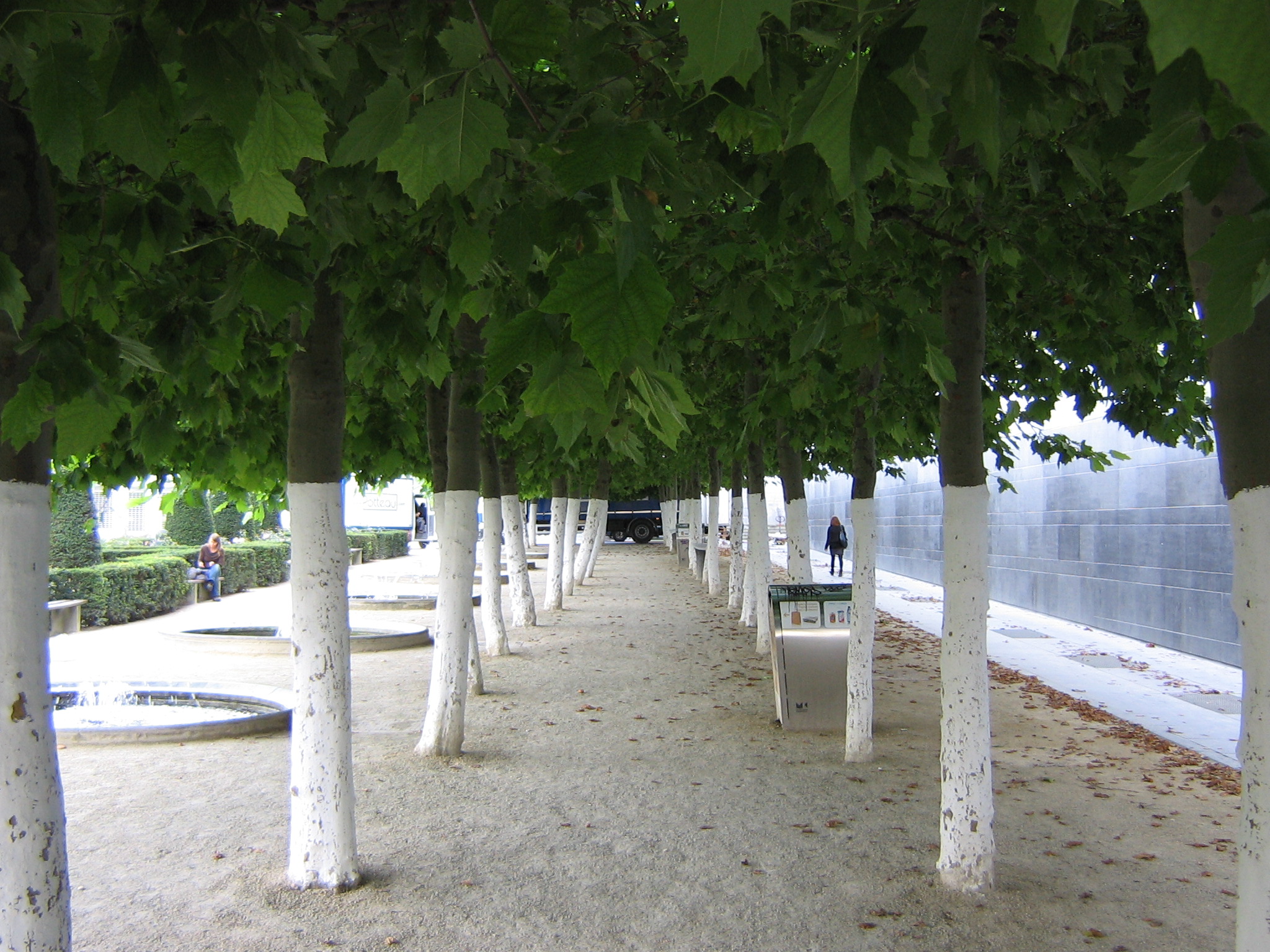 Daily Bible Reading - Monday, February 25