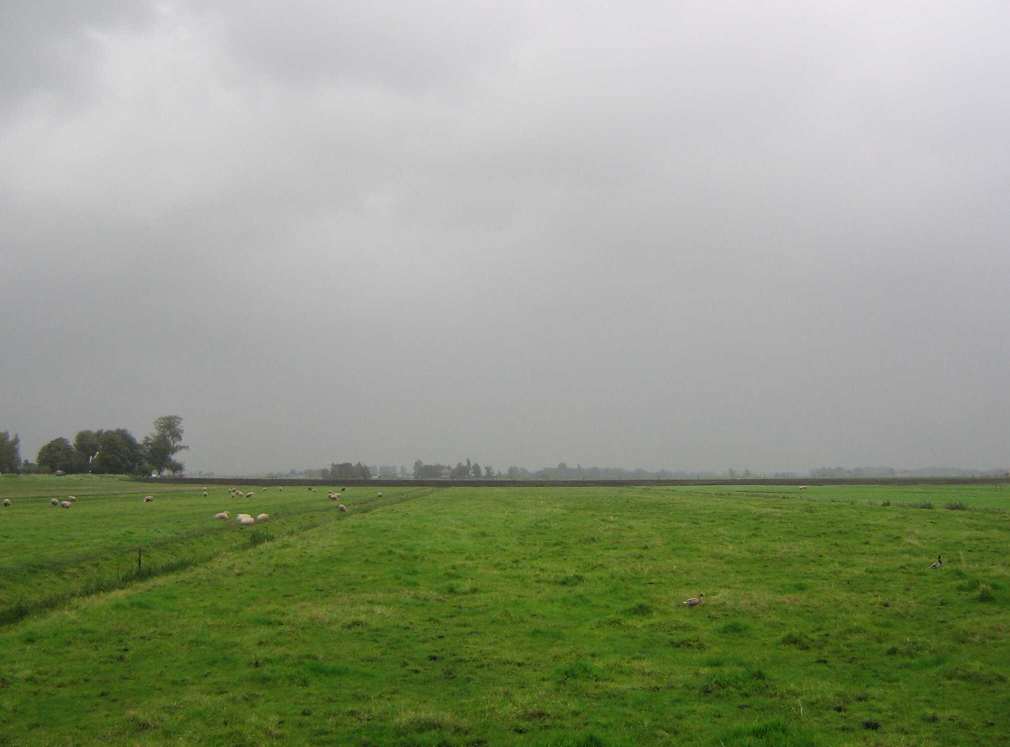 Daily Bible Reading - Sunday, February 23