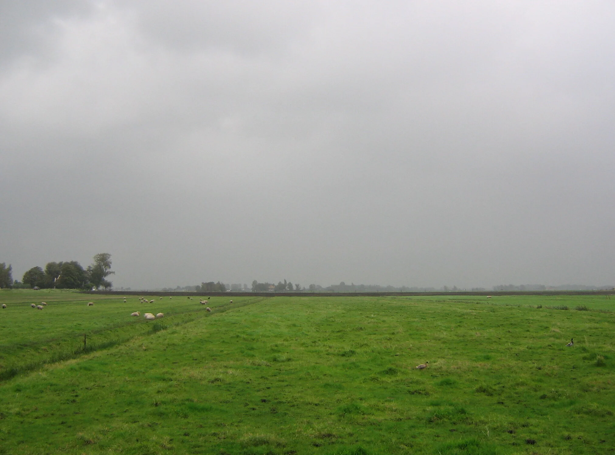 Daily Bible Reading - Monday, March 23