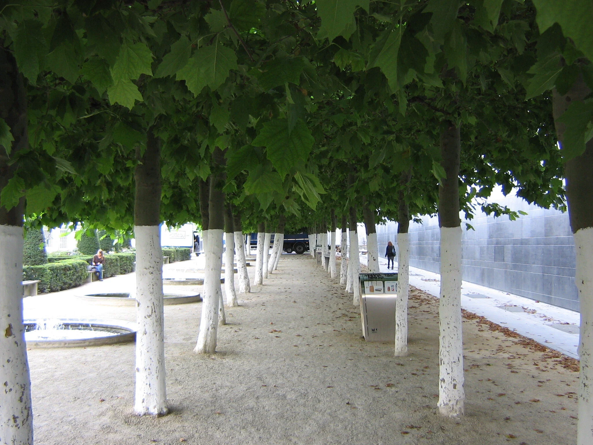 Daily Bible Reading - Friday, December 25