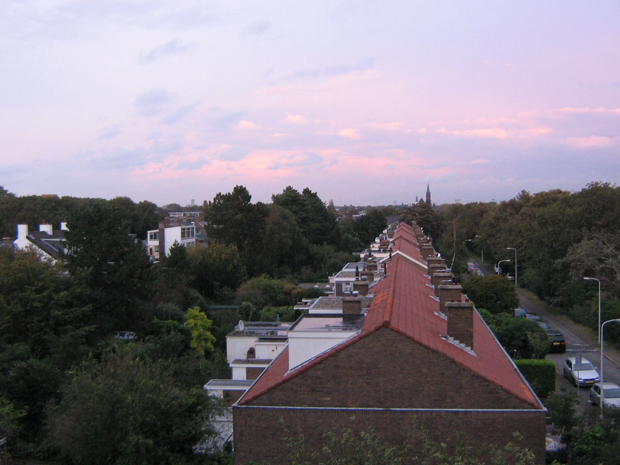 Daily Bible Reading - Wednesday, November 10