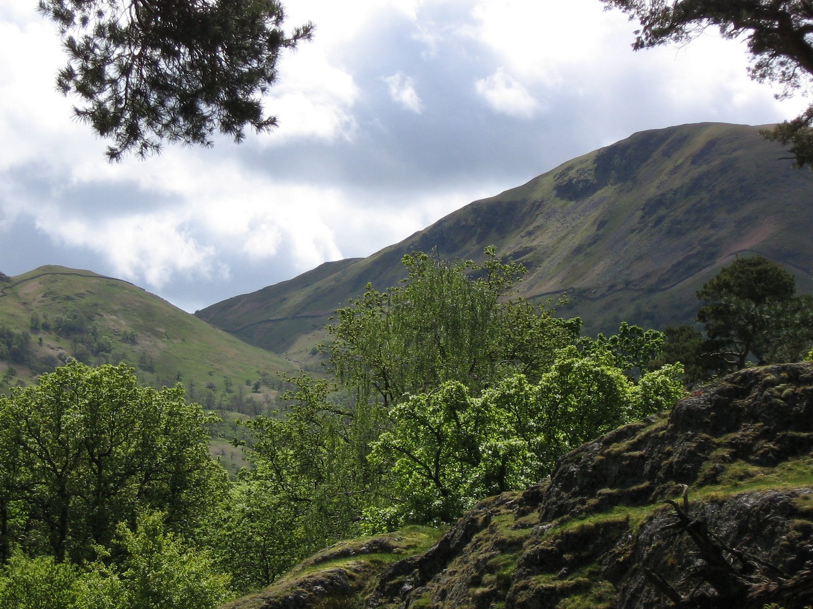 Daily Bible Reading - Sunday, May 22