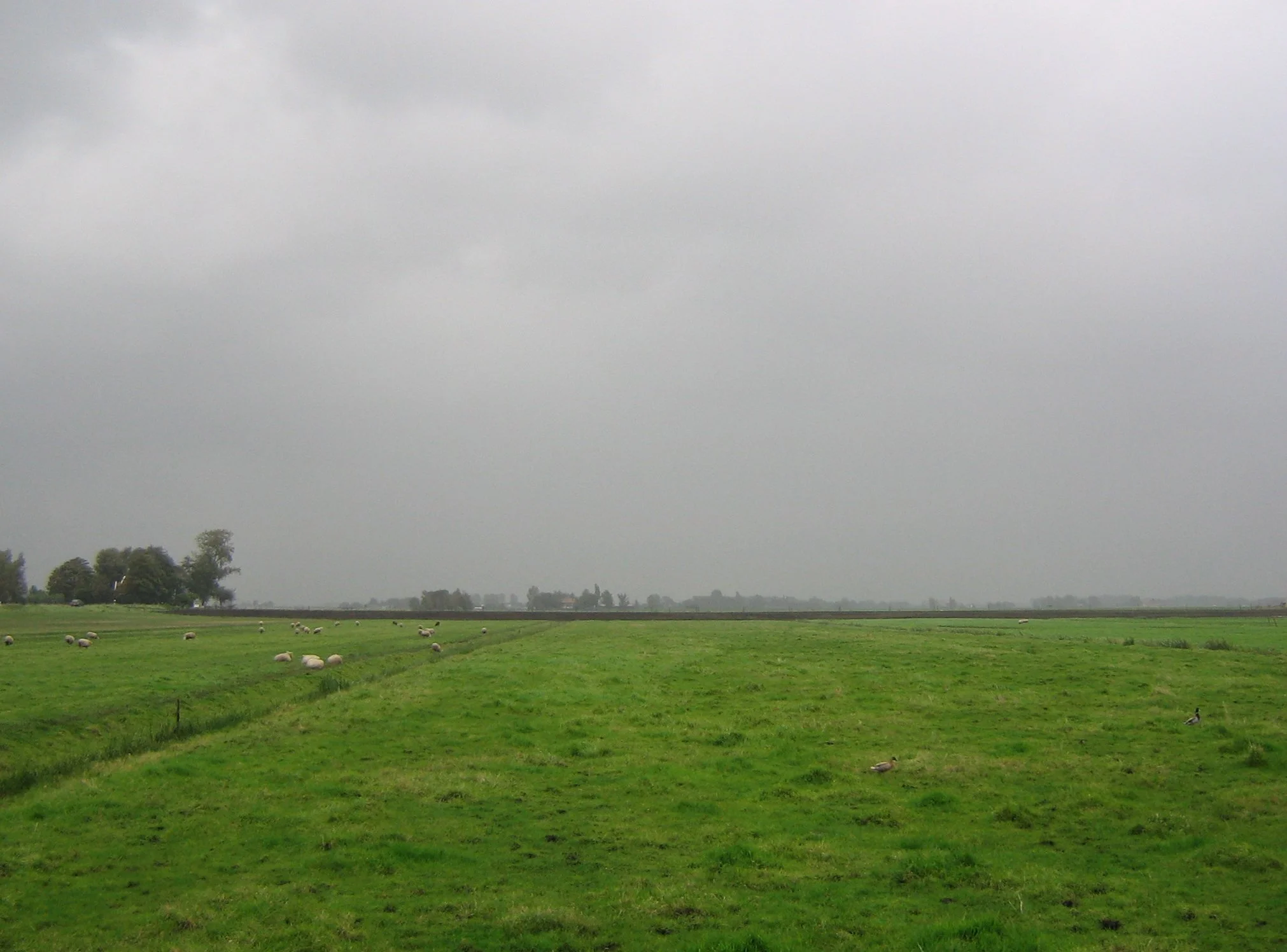 Daily Bible Reading - Tuesday, August 23