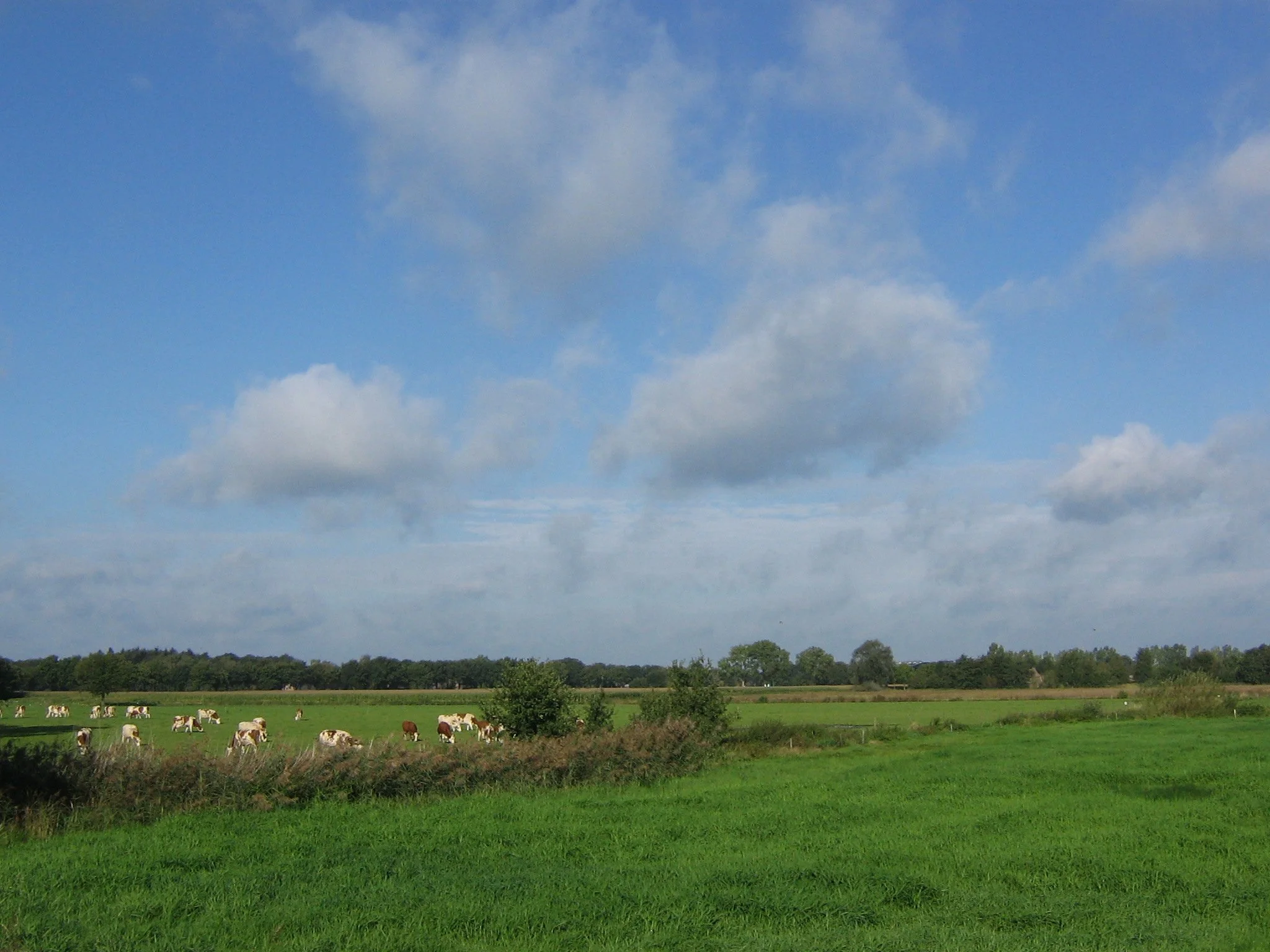 Daily Bible Reading - Sunday, October 15