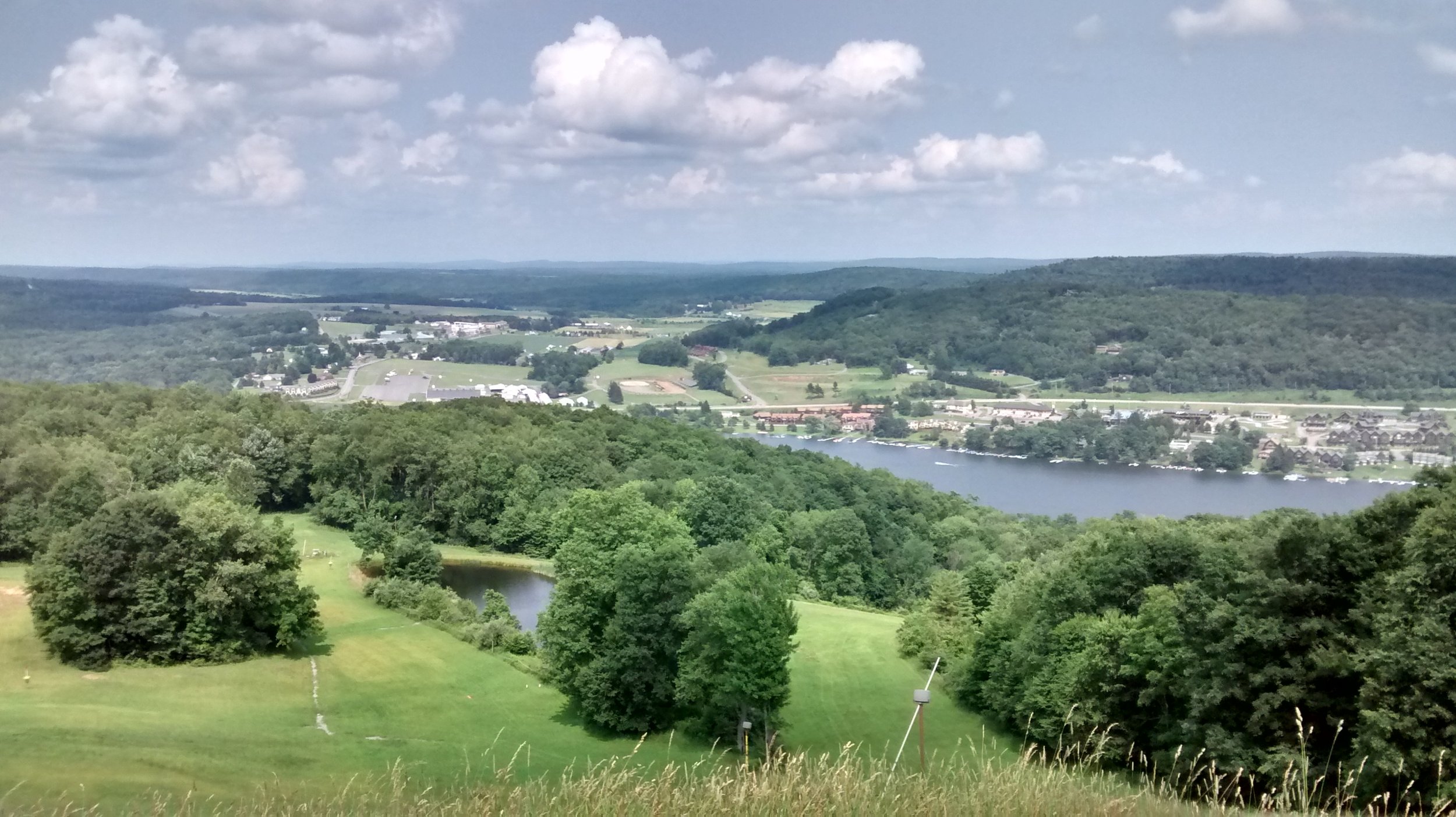 Daily Bible Reading - Friday, December 6