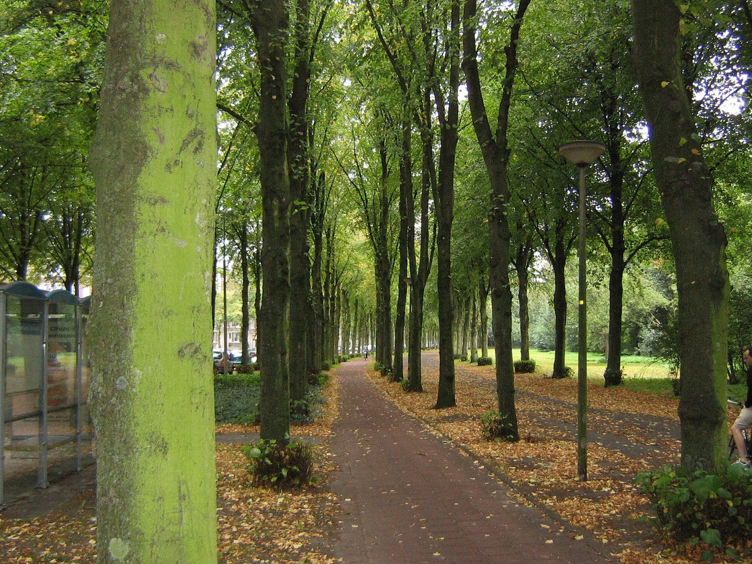 Daily Bible Reading - Tuesday, October 28