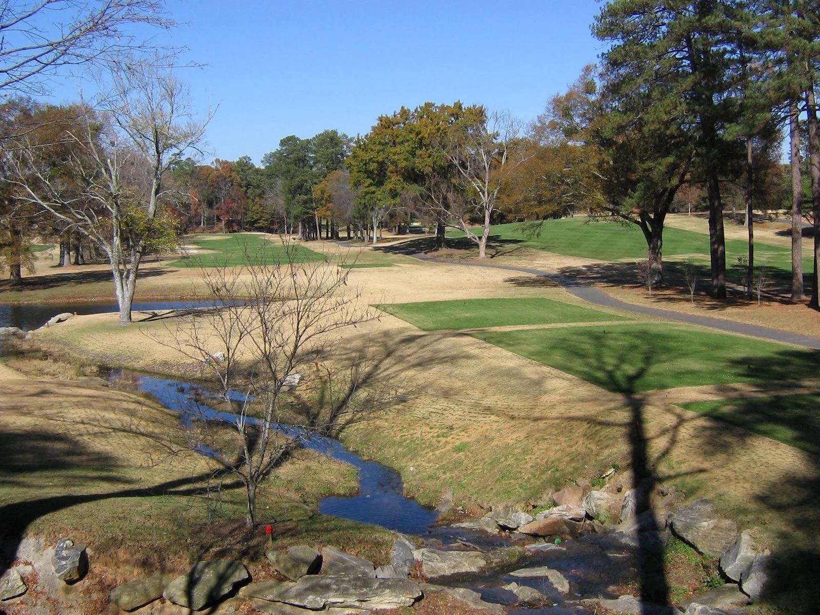 Daily Bible Reading - Friday, December 12