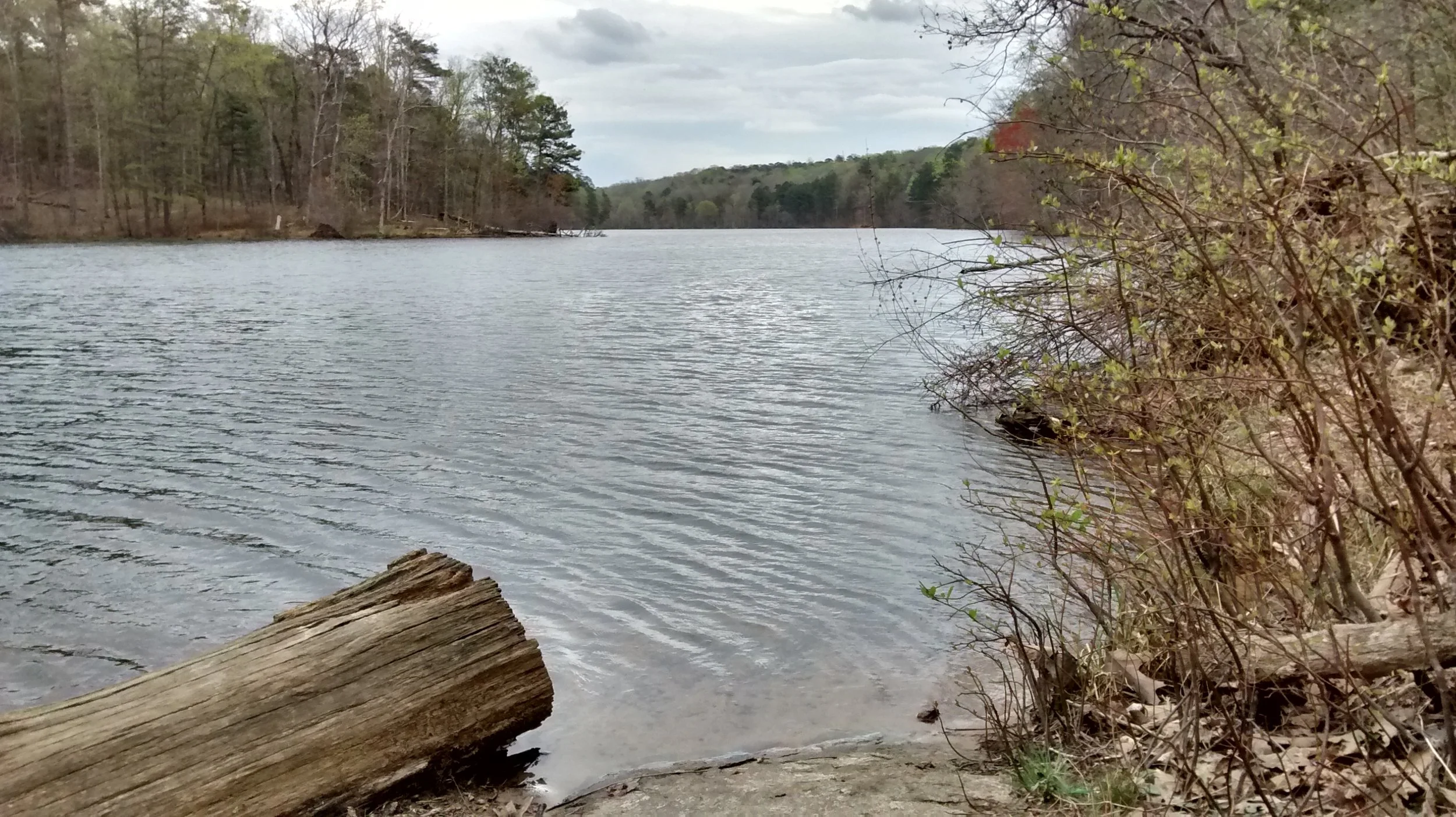 Daily Bible Reading - Saturday, January 3