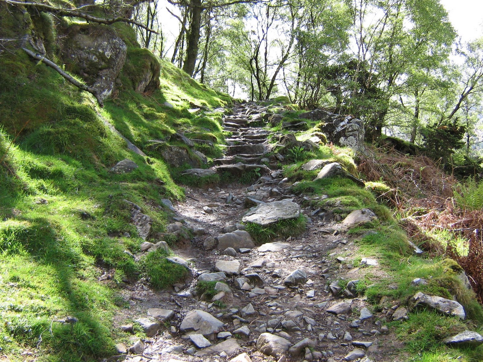 Daily Bible Reading - Friday, January 16