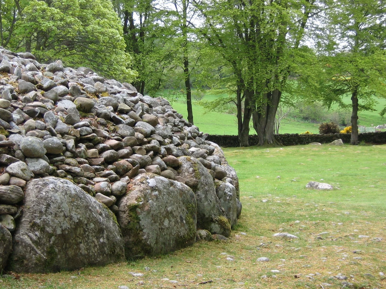 Daily Bible Reading - Thursday, January 29