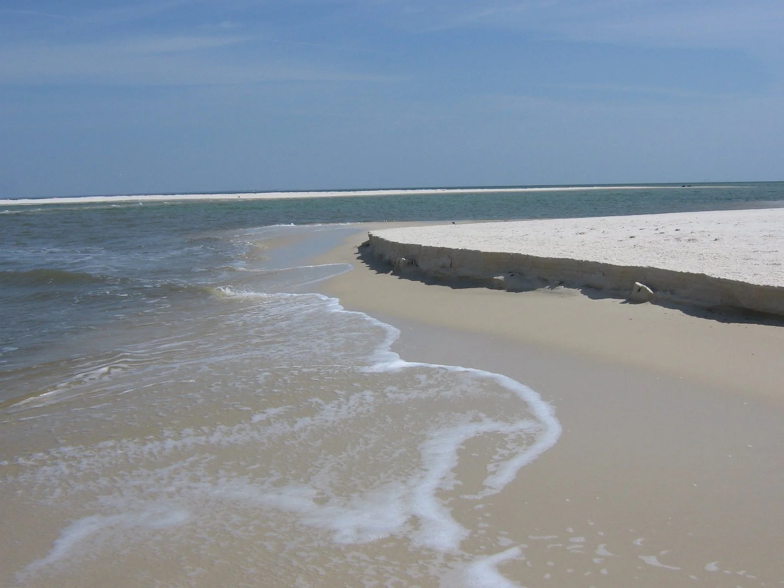 Daily Bible Reading - Saturday, January 31