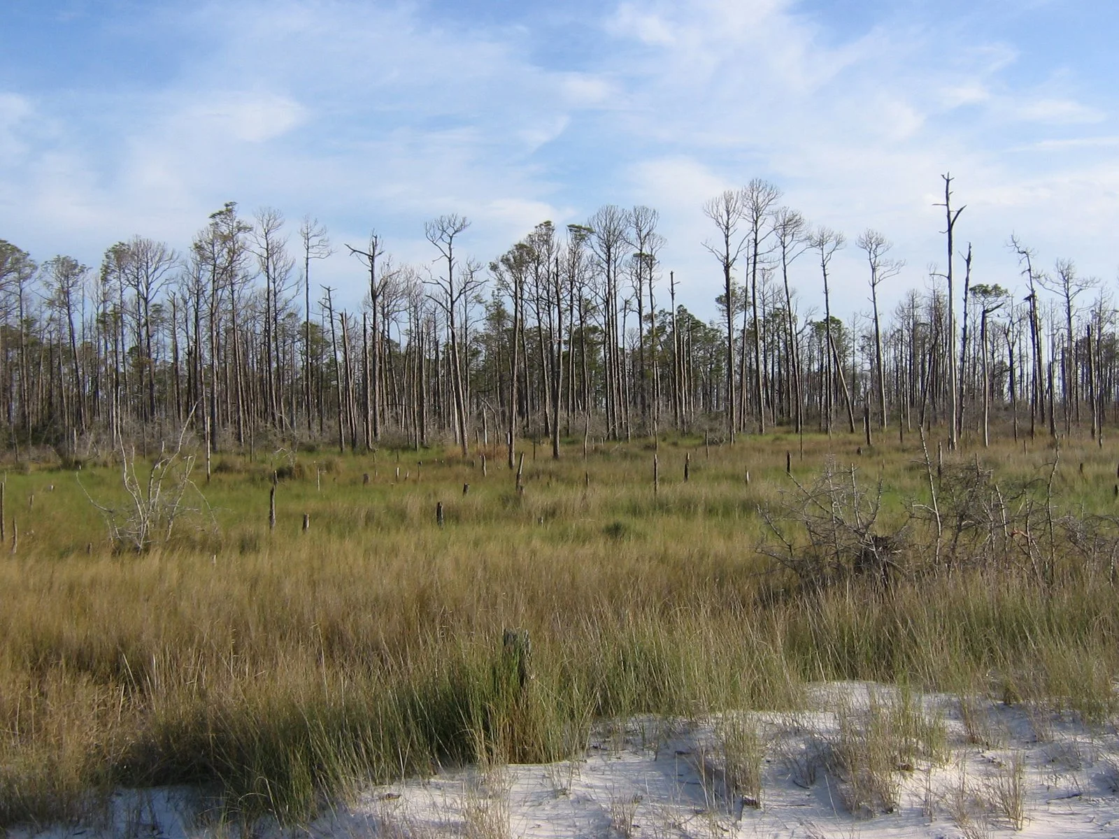 Daily Bible Reading - Saturday, February 14