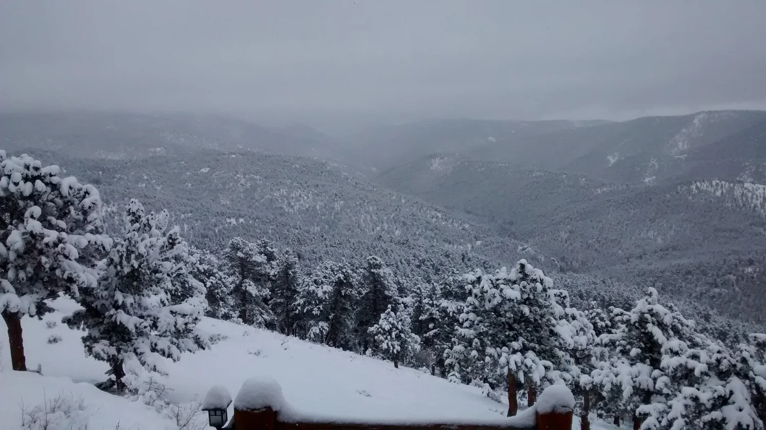 Daily Bible Reading - Monday, March 2