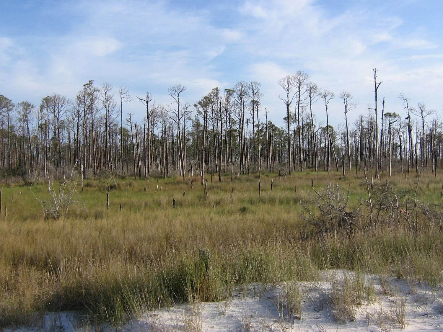 Daily Bible Reading - Saturday, March 14