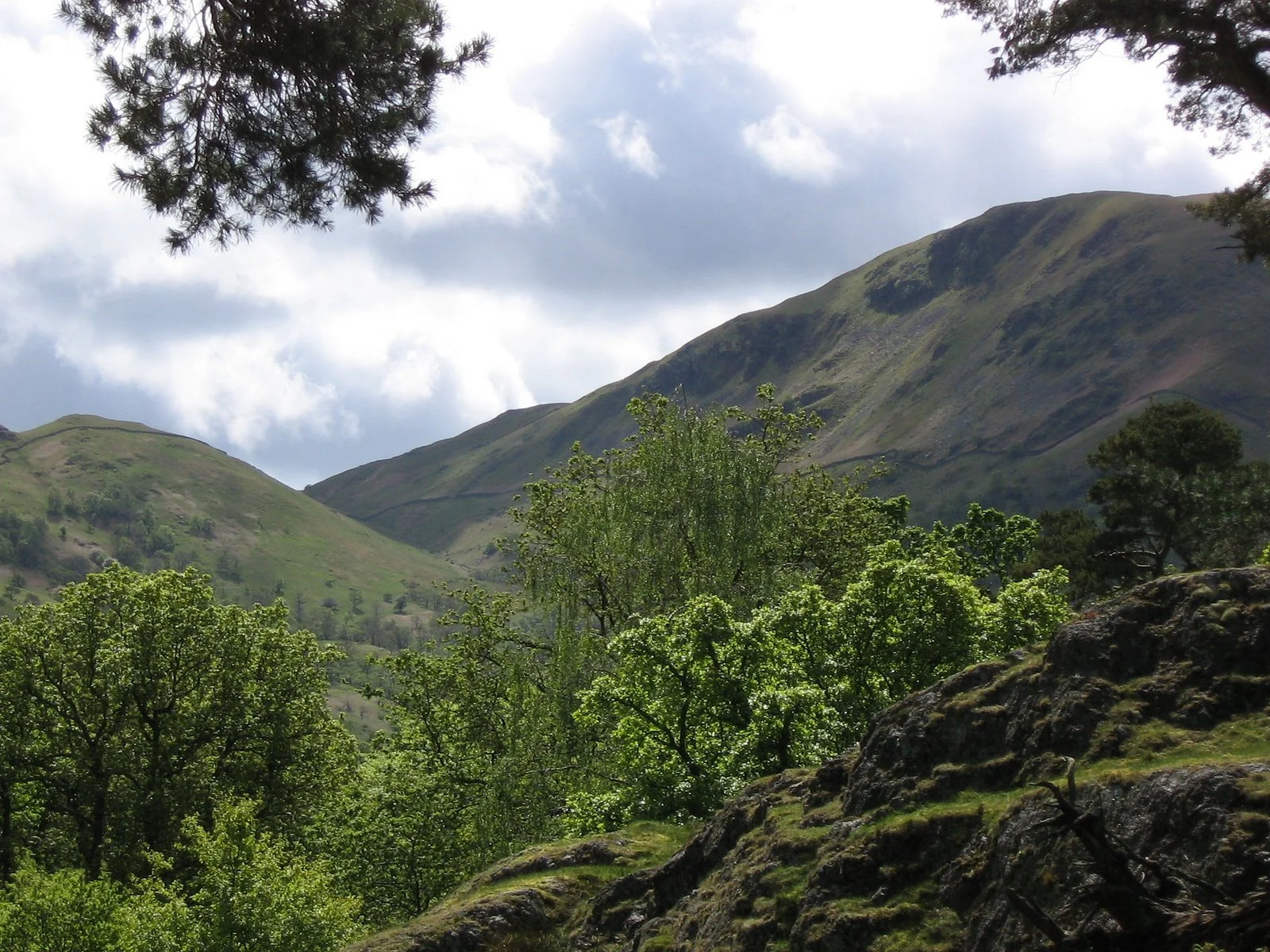 Daily Bible Reading - Sunday, March 22