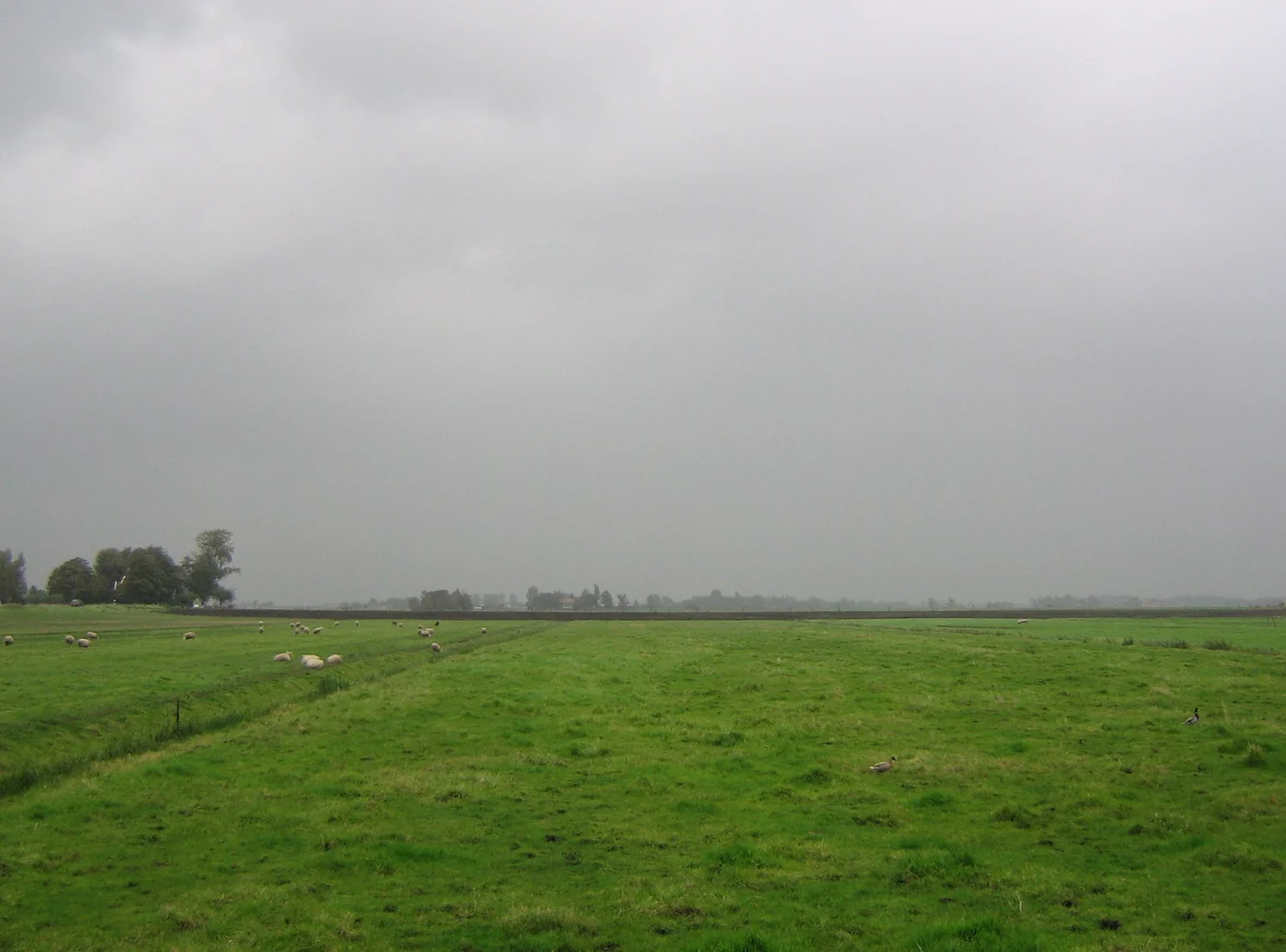 Daily Bible Reading - Monday, March 23