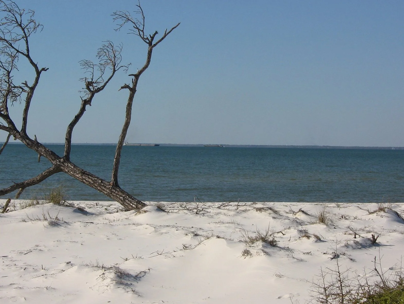 Daily Bible Reading - Tuesday, March 24