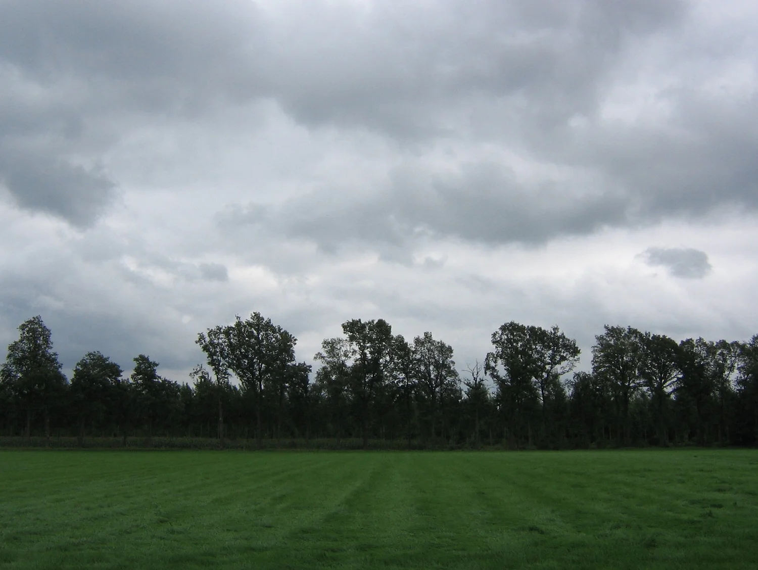 Daily Bible Reading - Wednesday, April 1