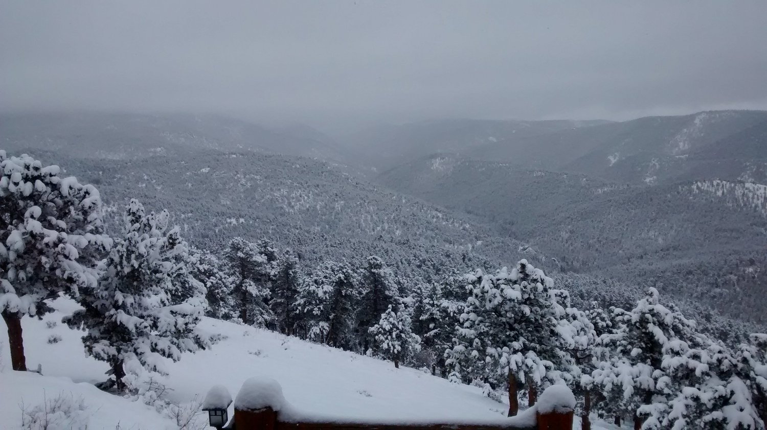 Daily Bible Reading - Thursday, April 2