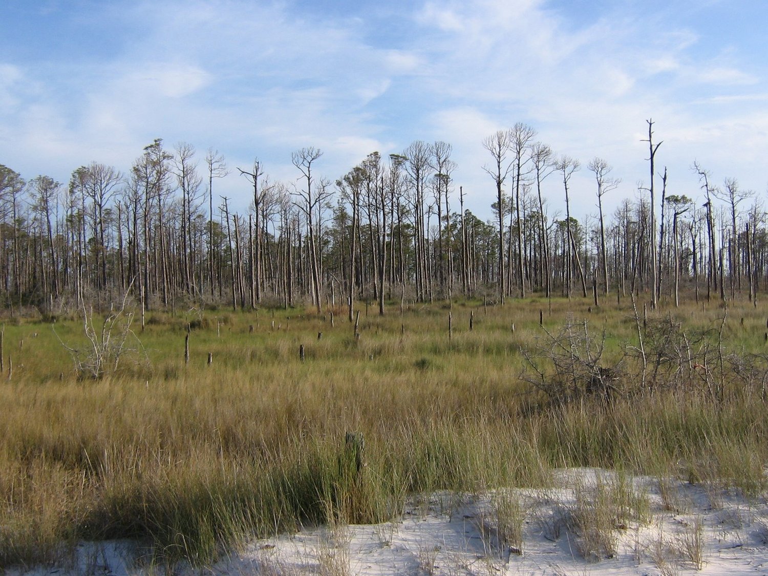 Daily Bible Reading - Tuesday, April 14