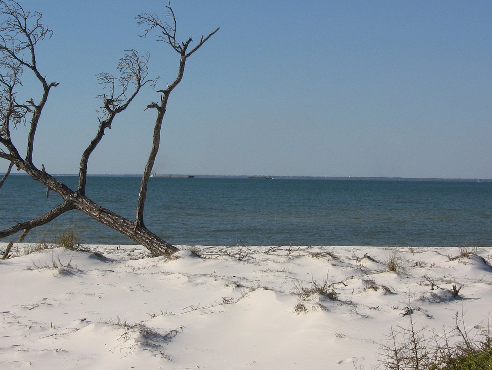 Daily Bible Reading - Friday, April 24