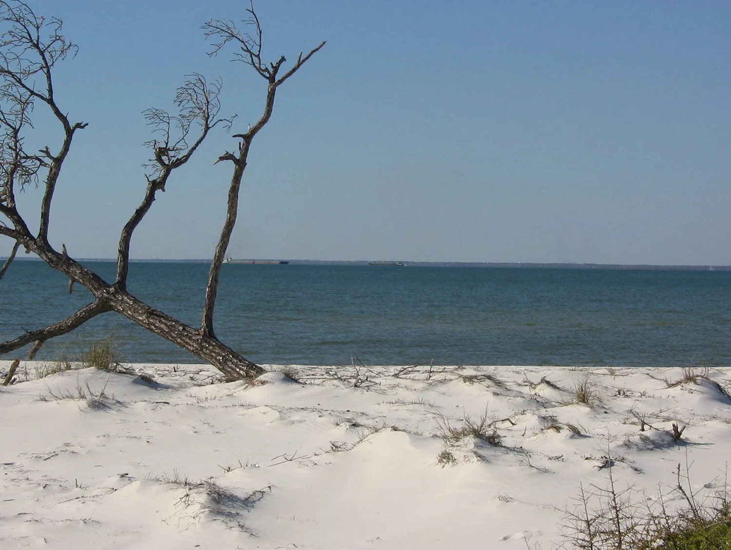 Daily Bible Reading - Friday, April 24