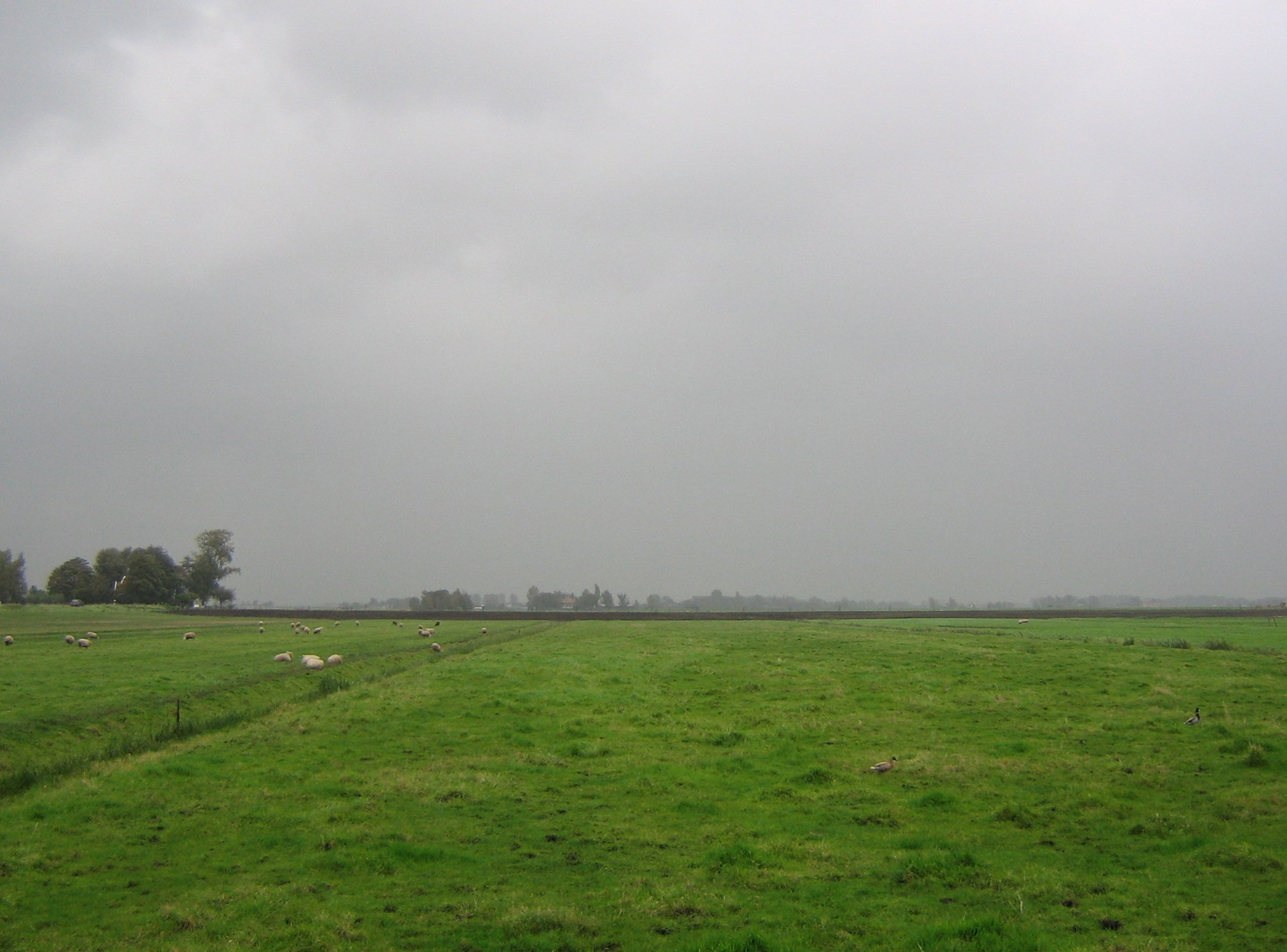 Daily Bible Reading - Wednesday, September 23