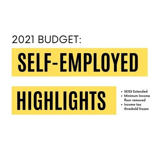 What Self-Employed Professionals Should Know about the 2021 Budget