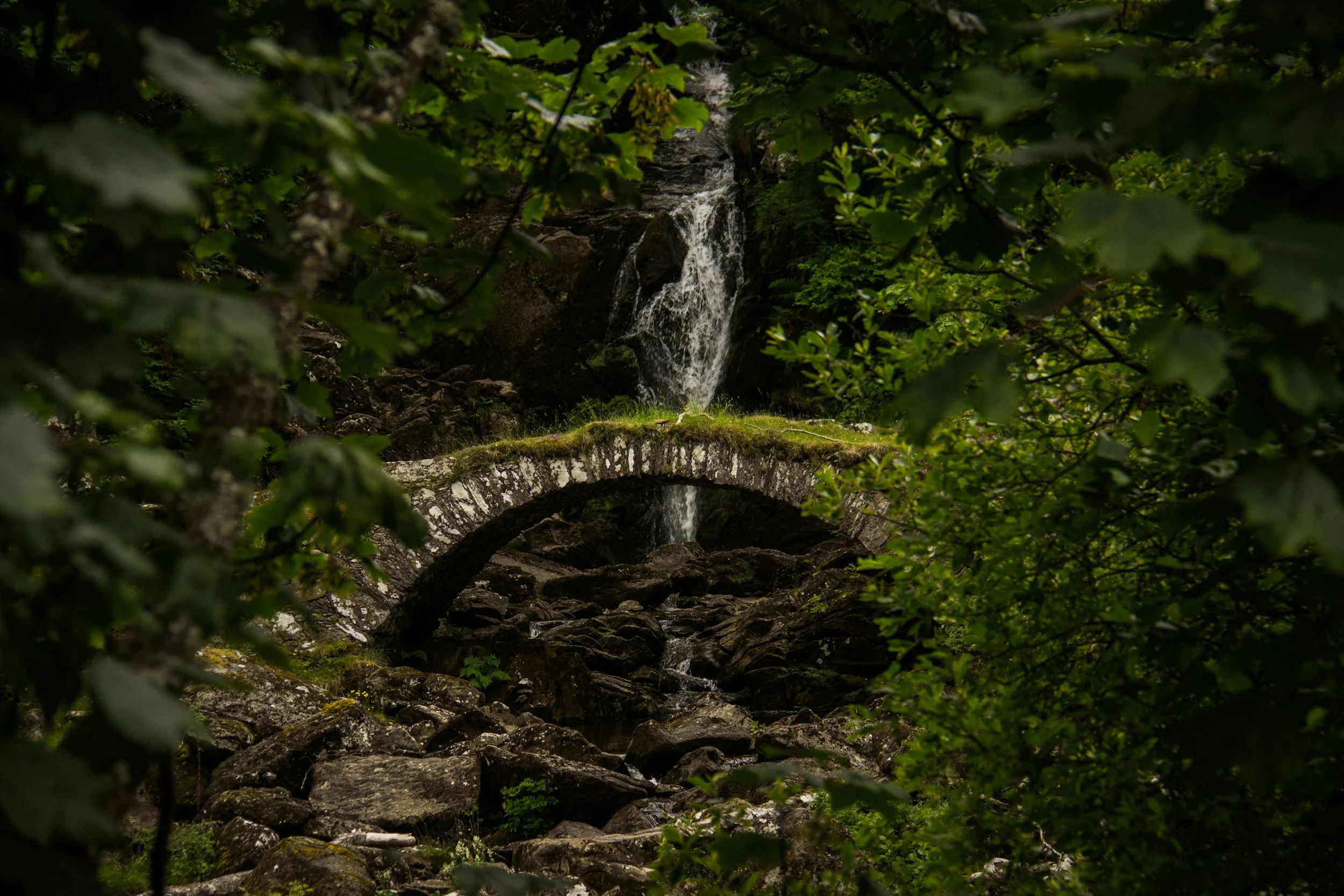 unsplash-image-AdTY2eti9m4.jpg