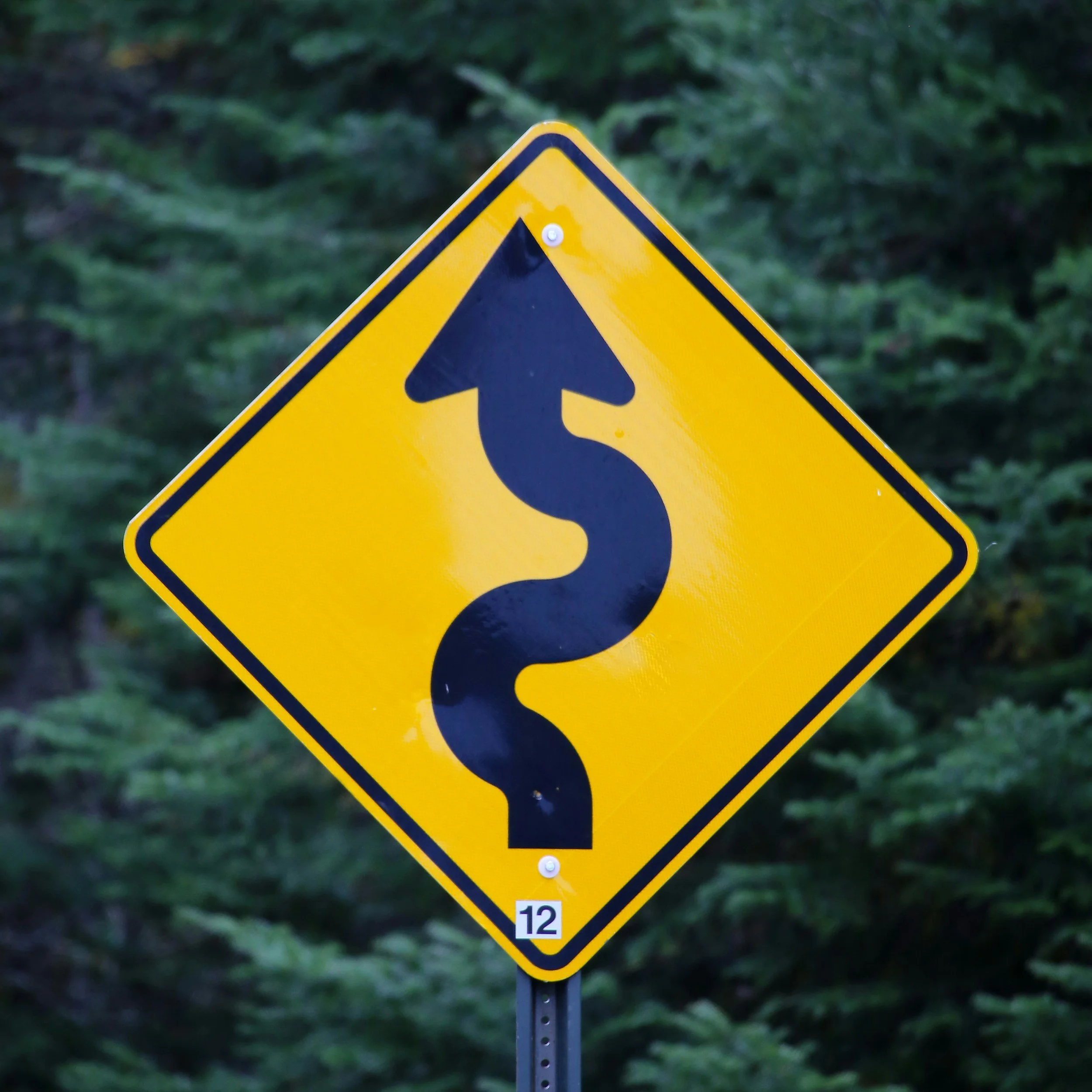 U.S. Citizenship Renunciation