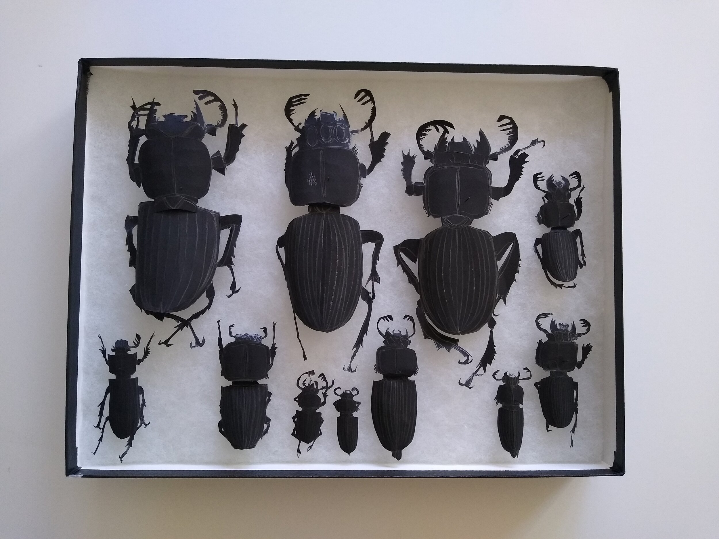 Beetle Box No 2