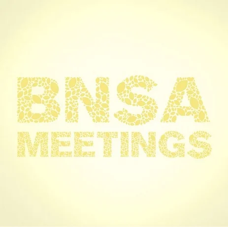 BNSAMeetings.png