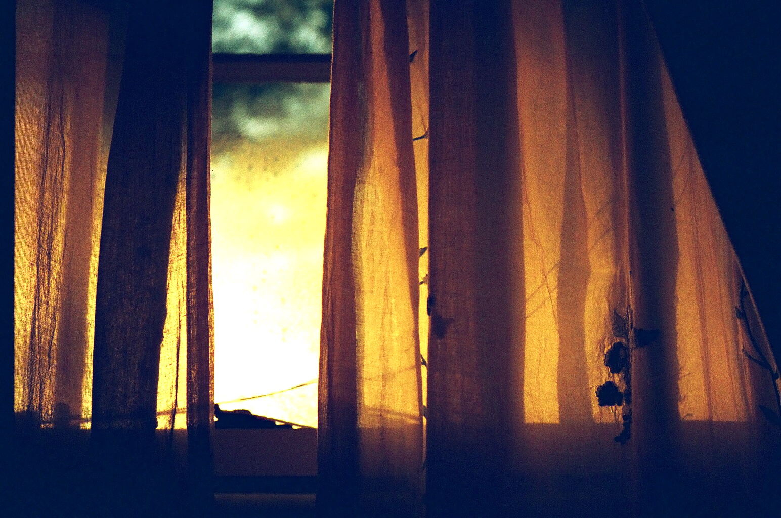 Curtains1.JPG