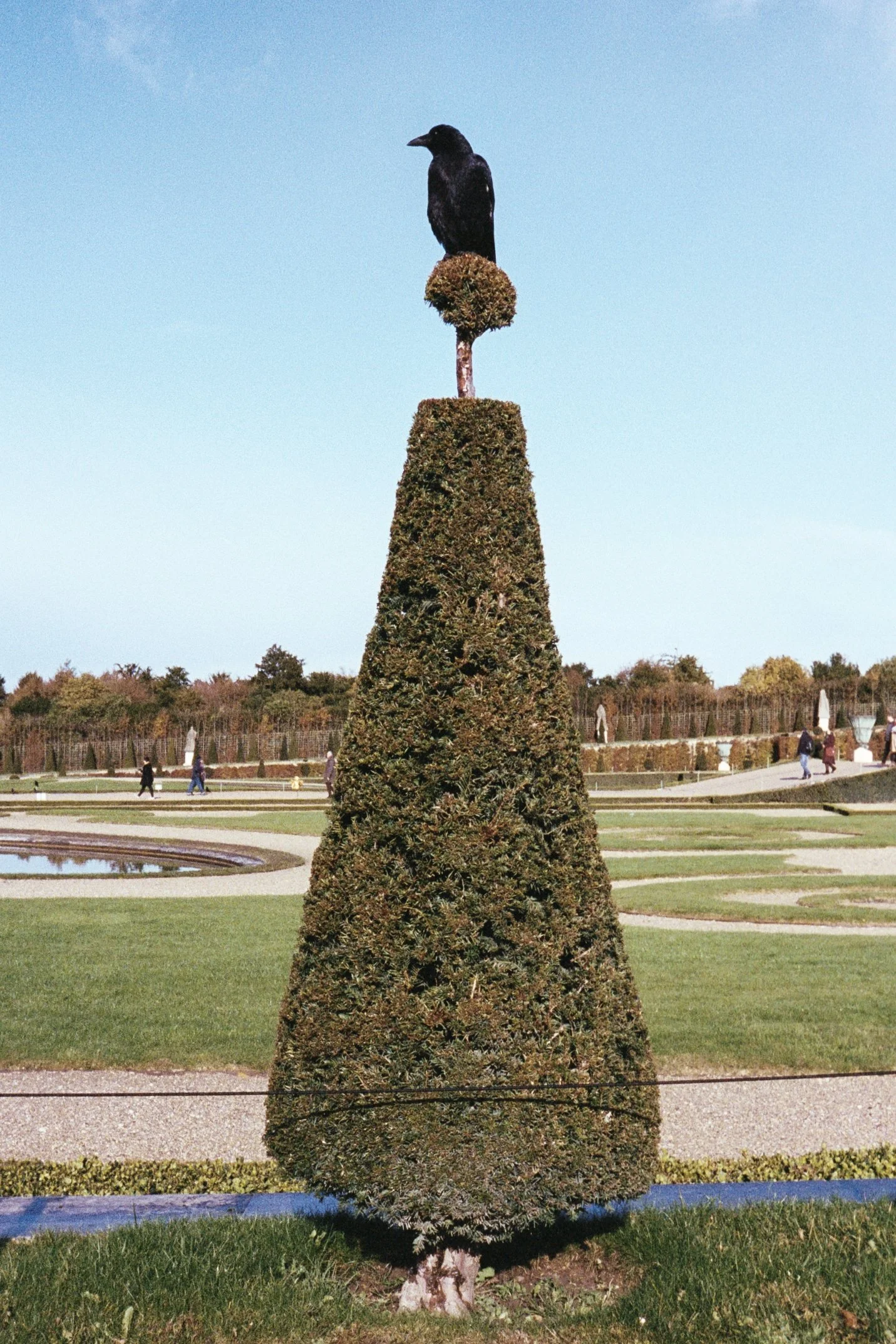 Topiary_1.jpg