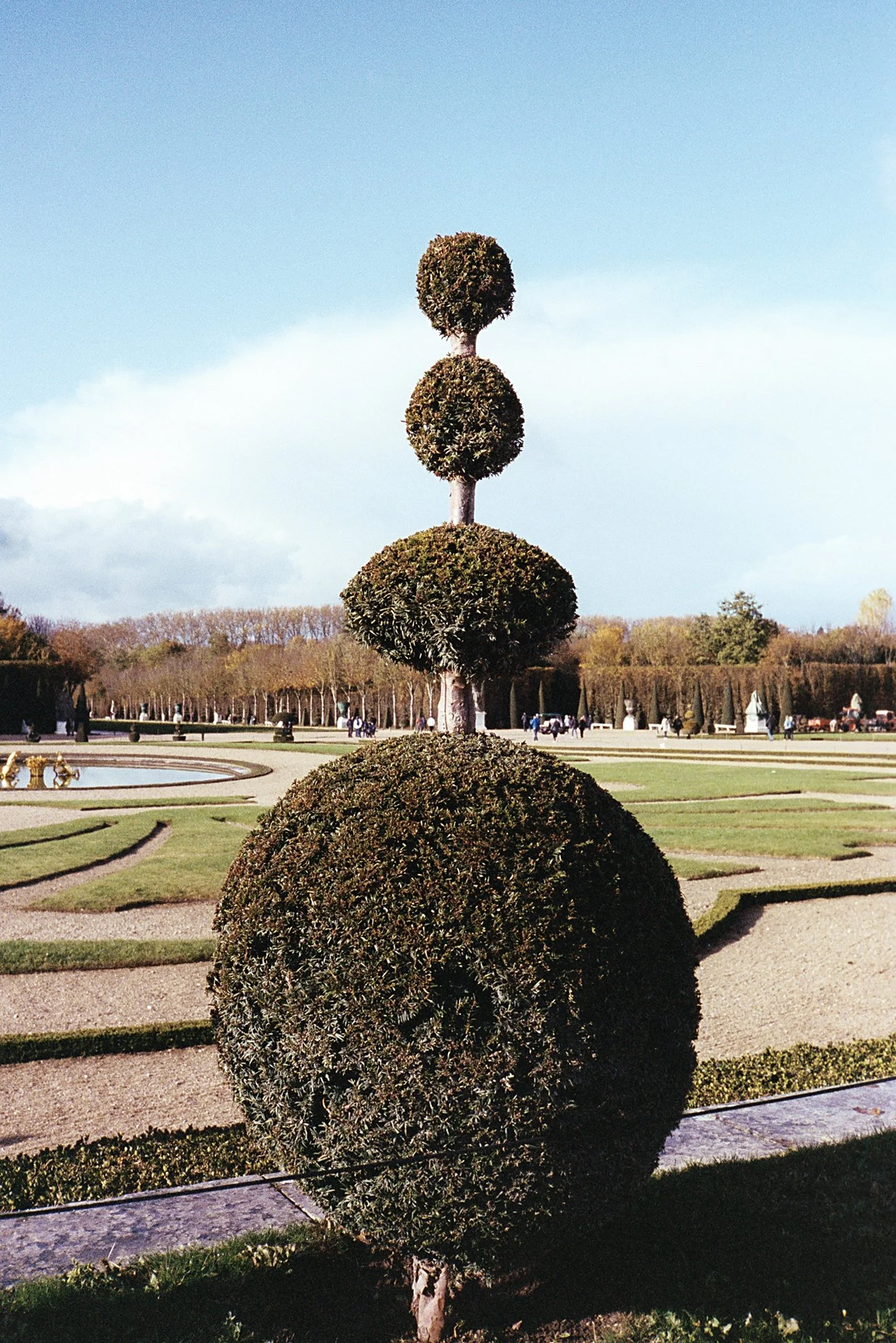 Topiary_5.jpg