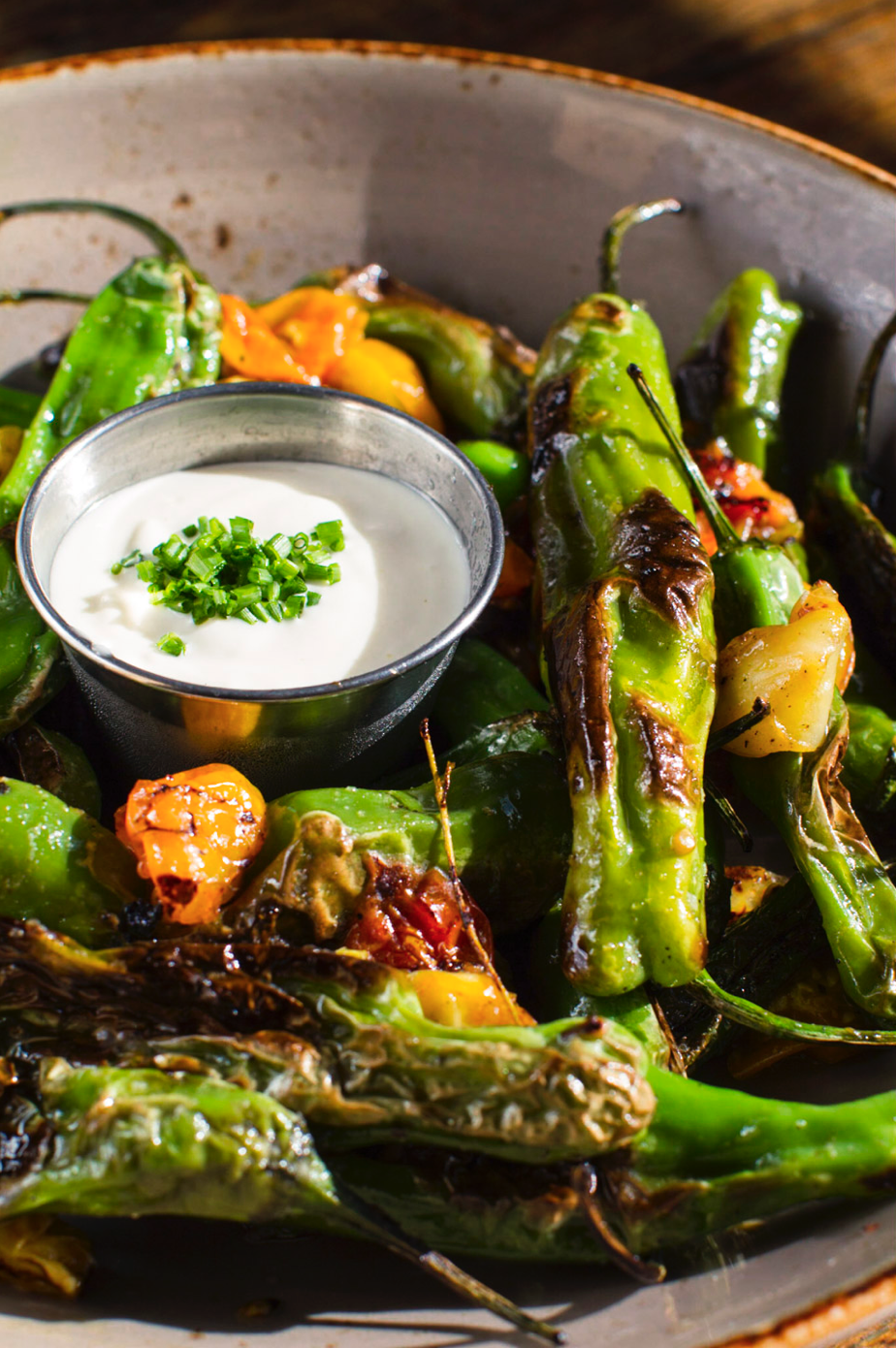 Screen Shot 2026-02-08 at 1.33.28 PM.png