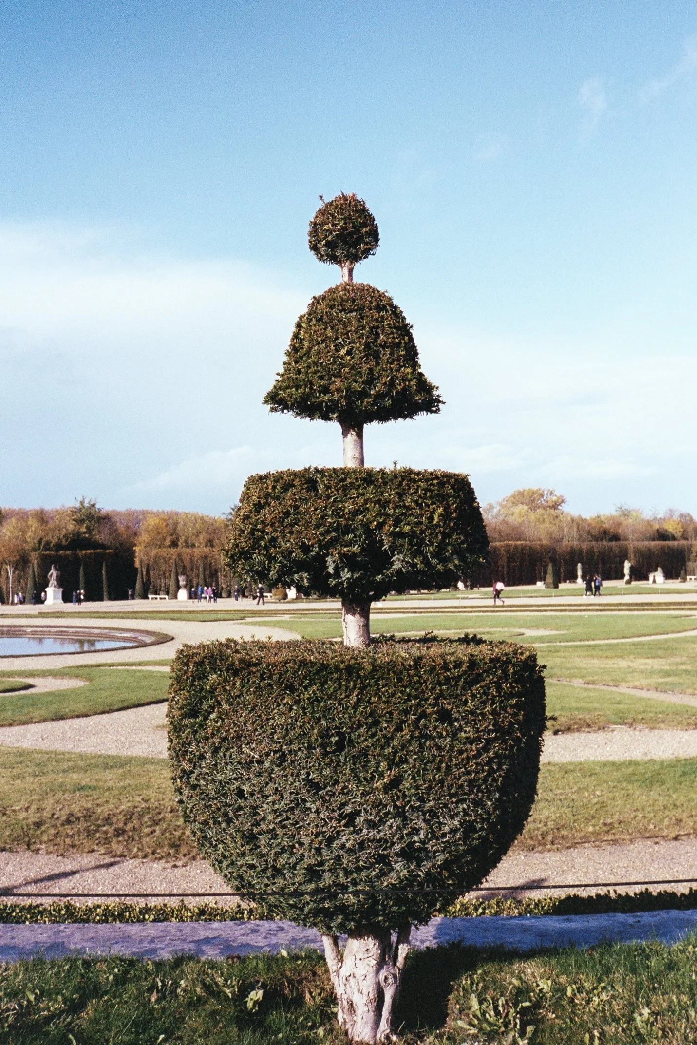 Topiary_6.jpg