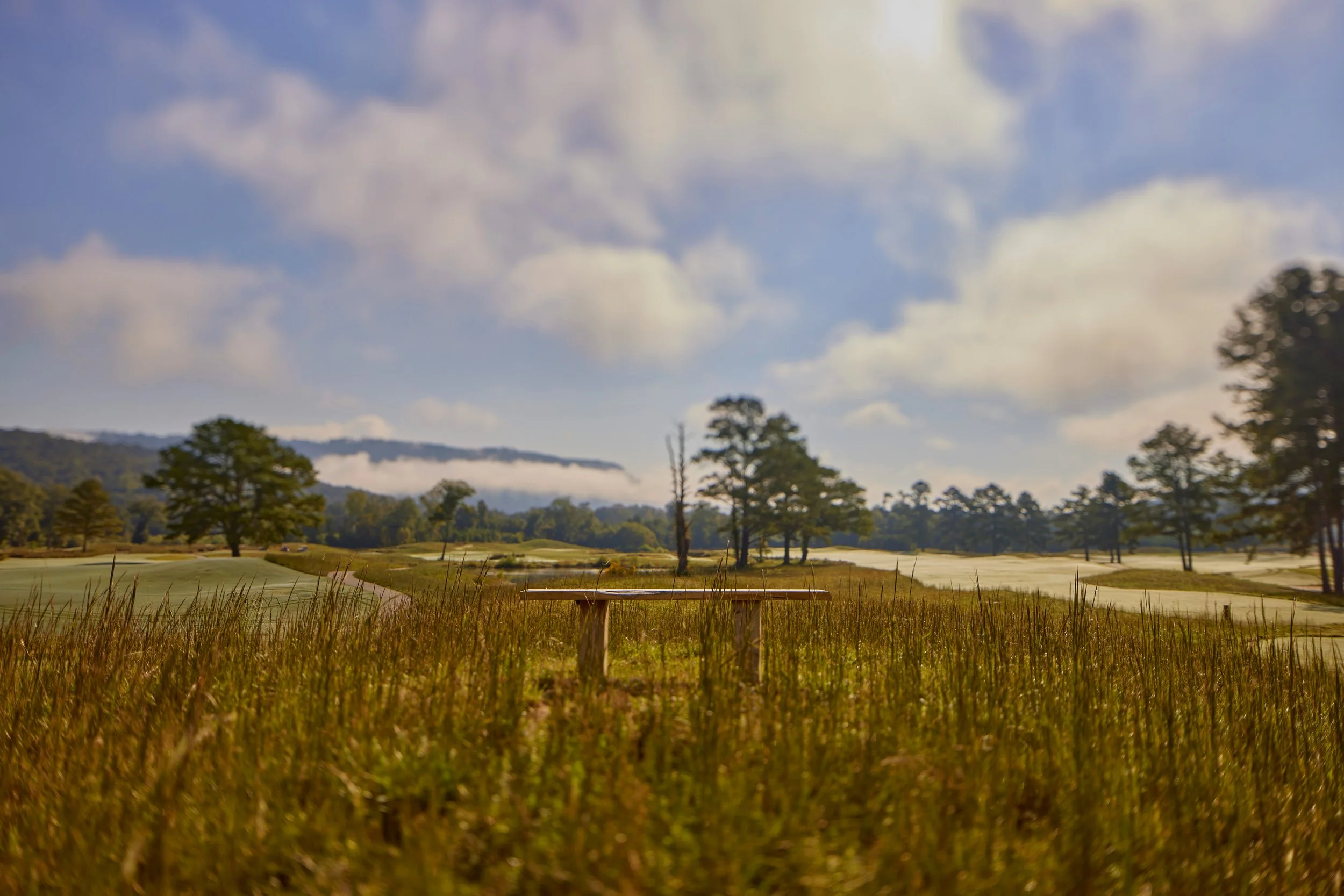 Sweetens Cove Golf Club, TN (Copy)