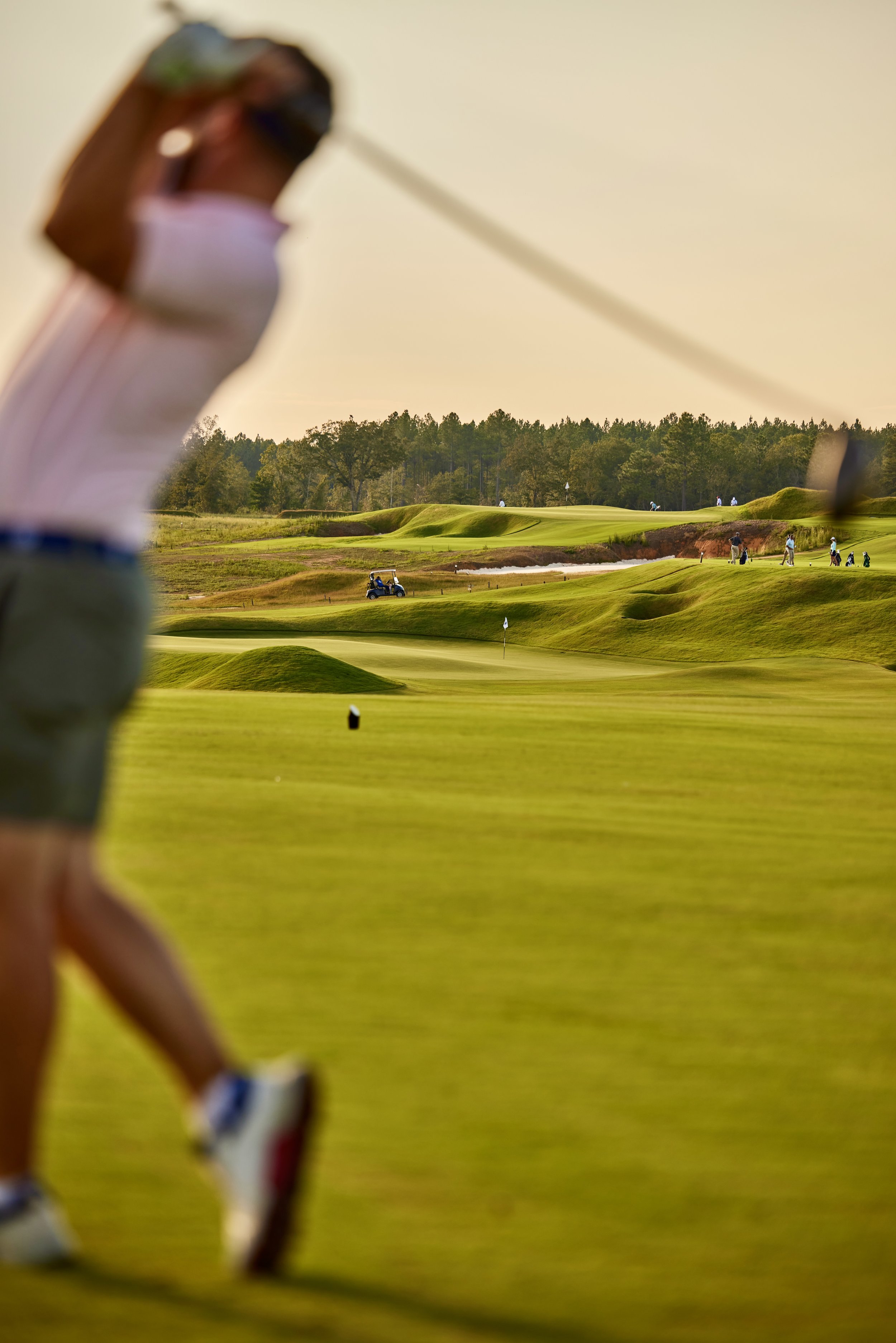 Old Barnwell, Aiken, SC (Copy)