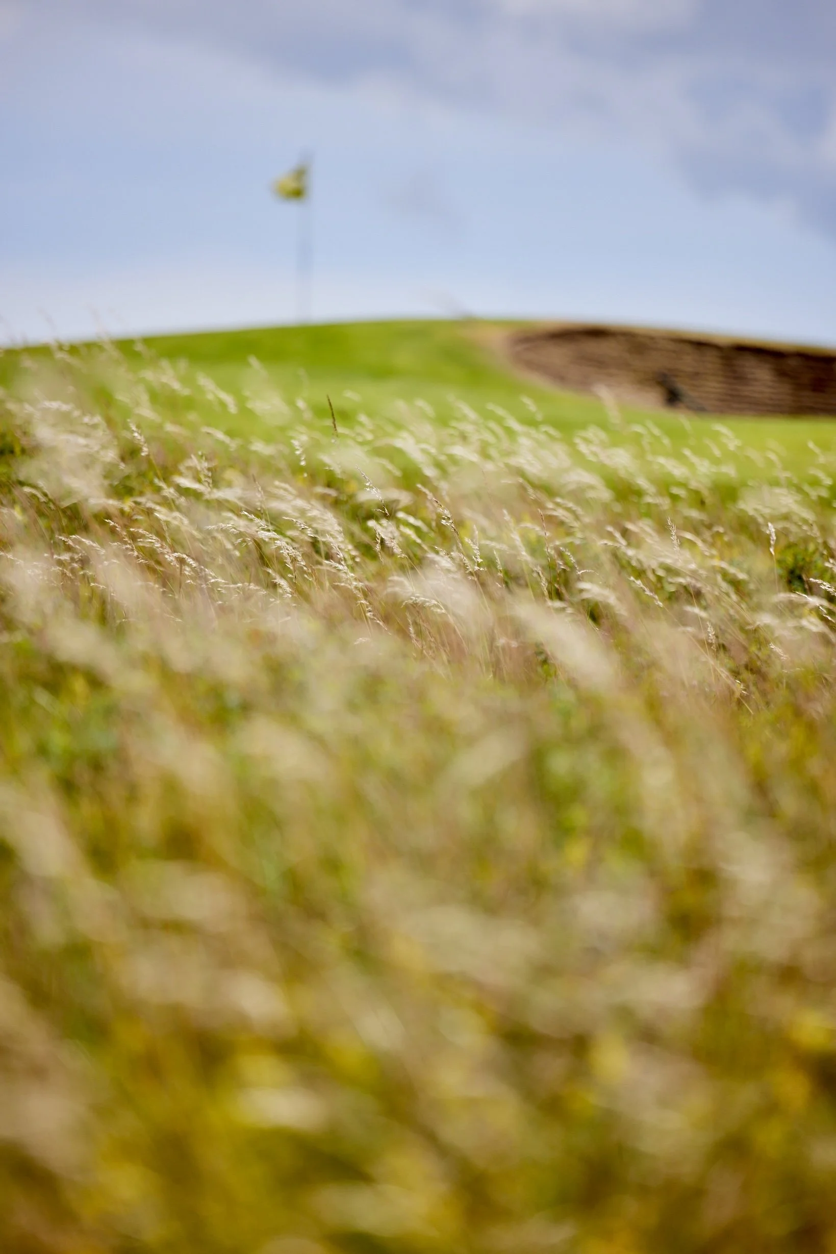 Tralee Golf Club, Ireland (Copy)