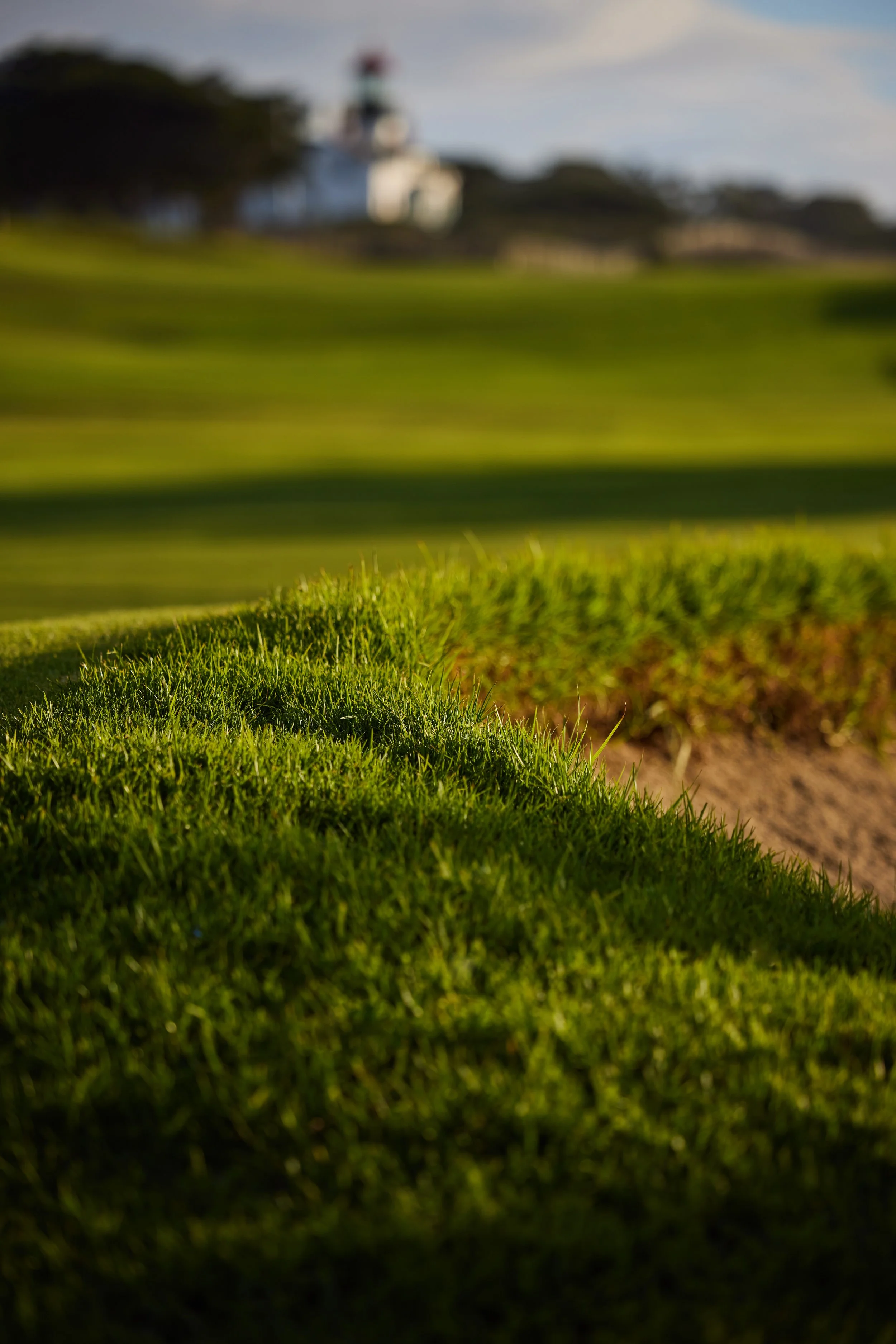 Pacific Grove, CA (Copy)