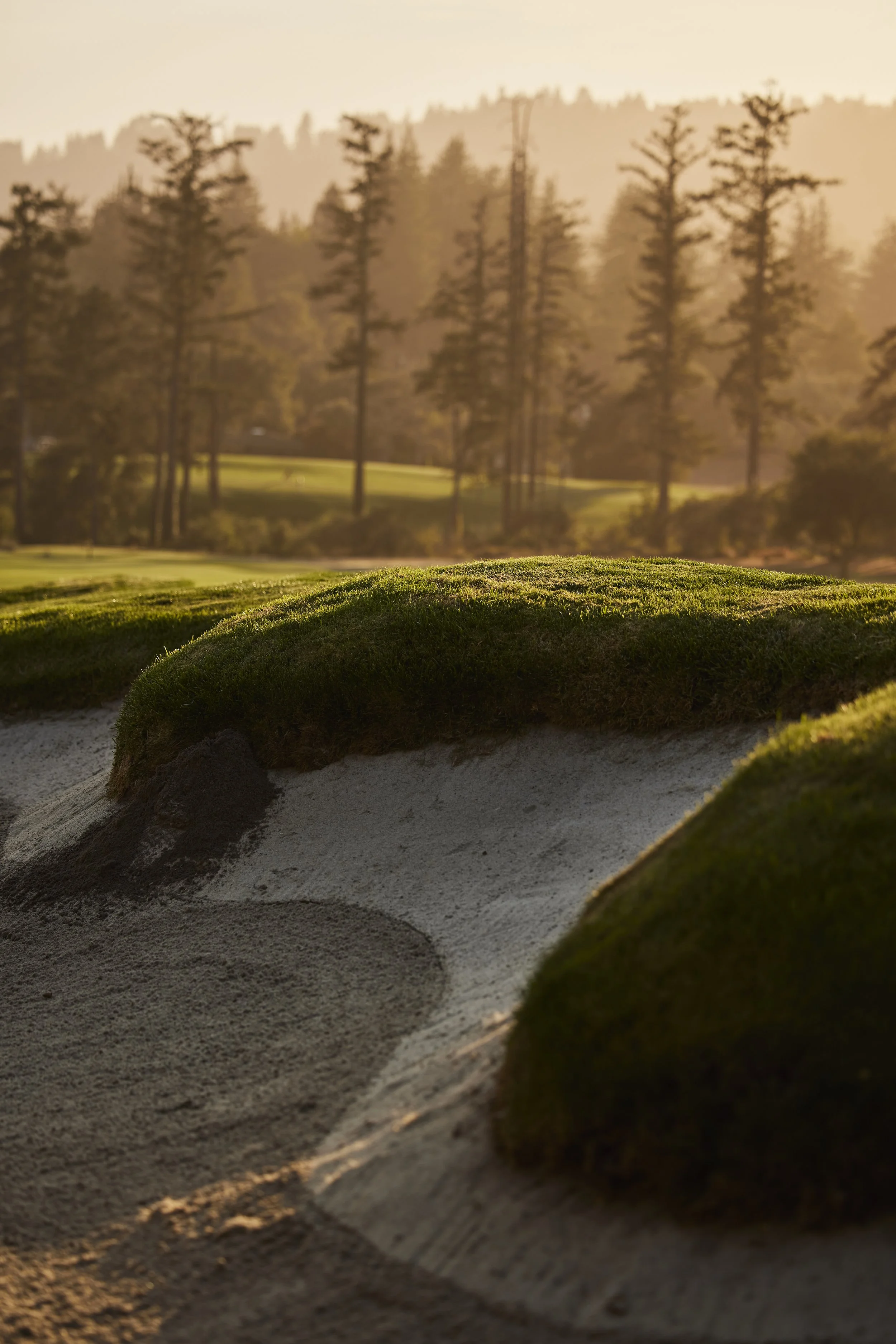 Pasatiempo Golf Club, CA (Copy)