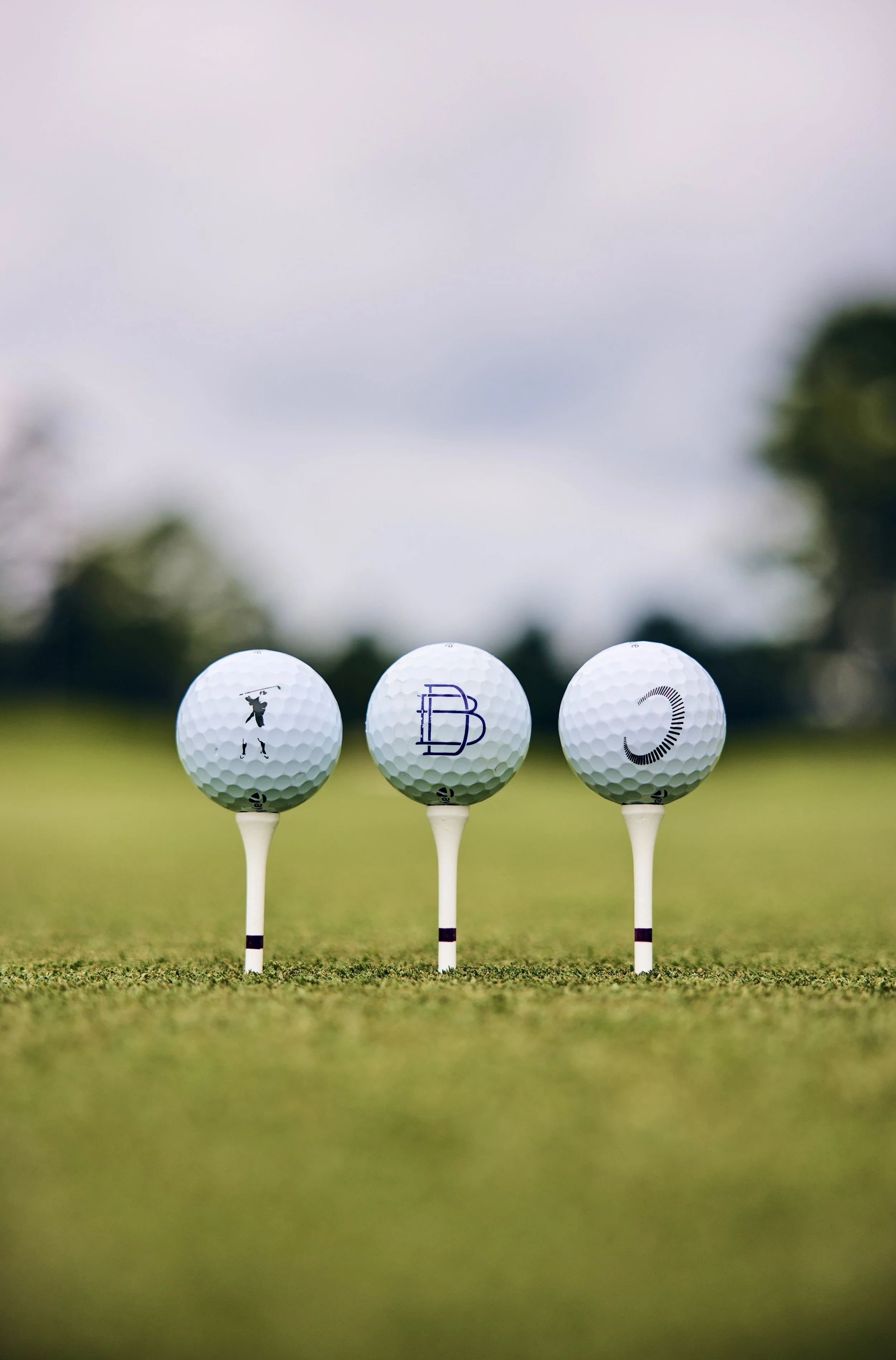 Summit Brand  (Copy)