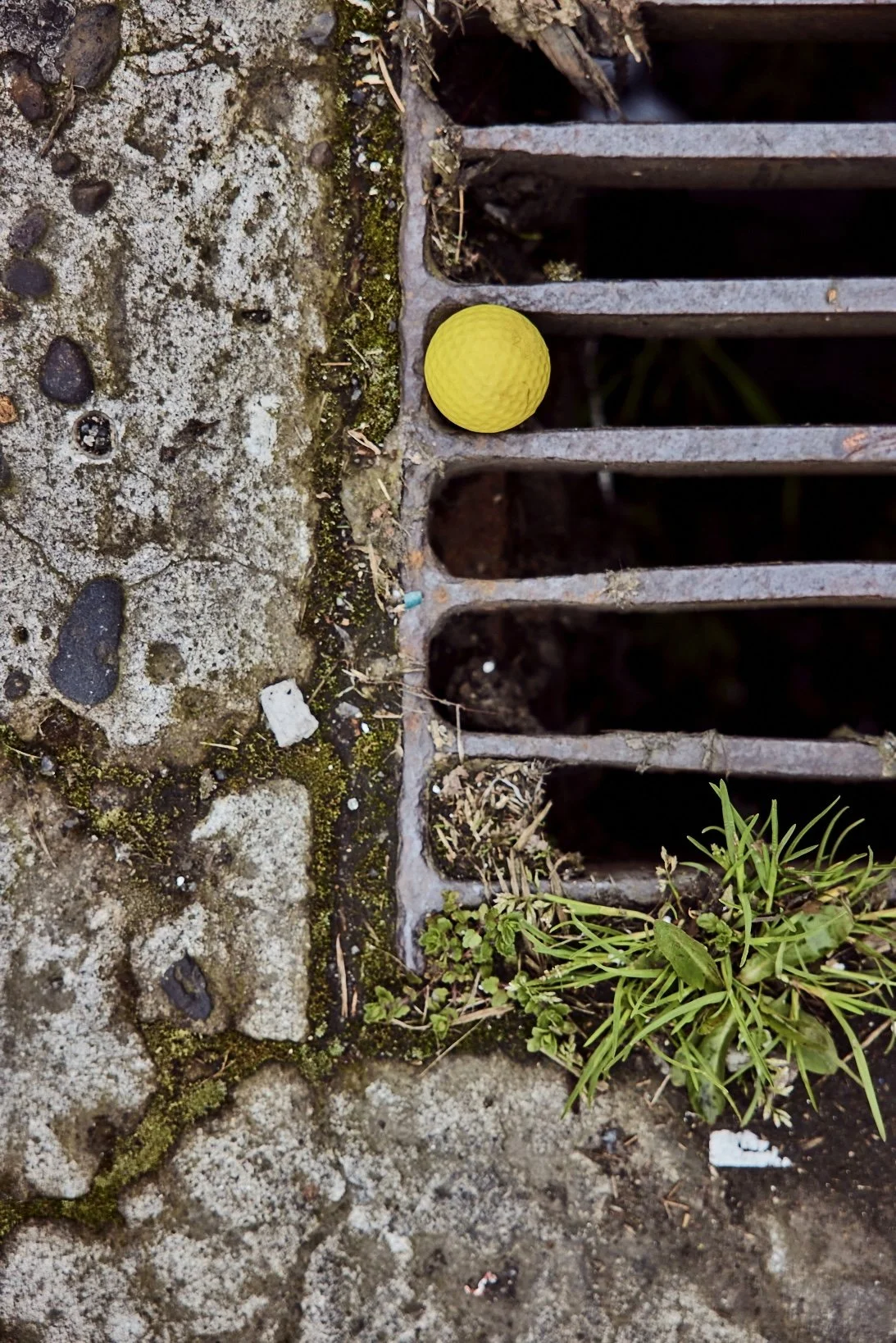 Muni Kids Urban Golf, Portland  (Copy)