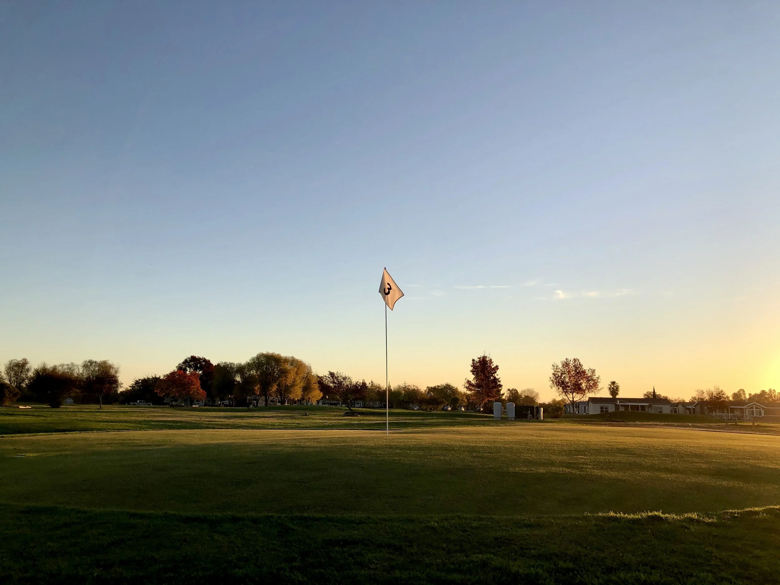 Dingerville USA, Oroville, CA (Copy)