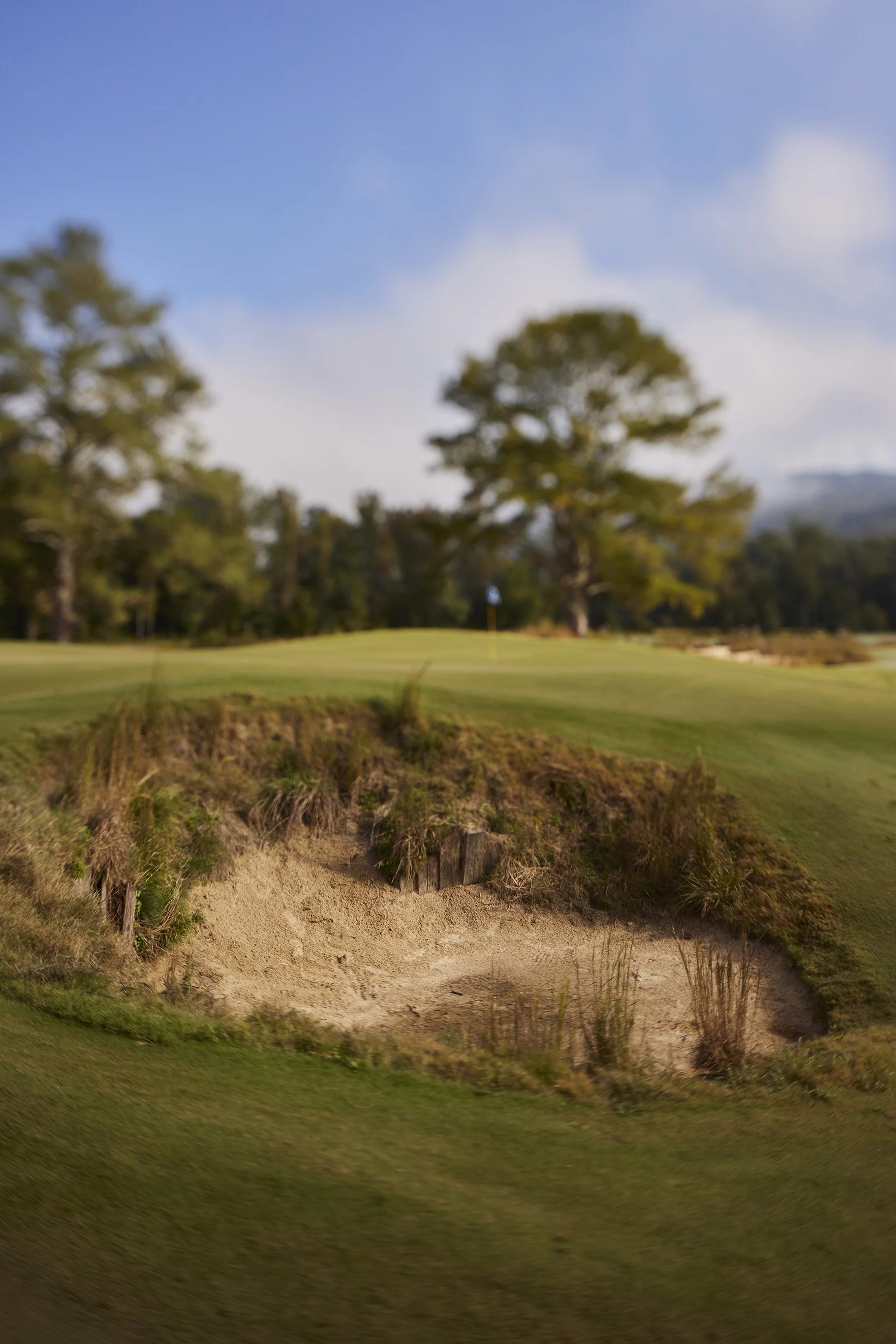 Sweetens Cove Golf Club, TN (Copy)