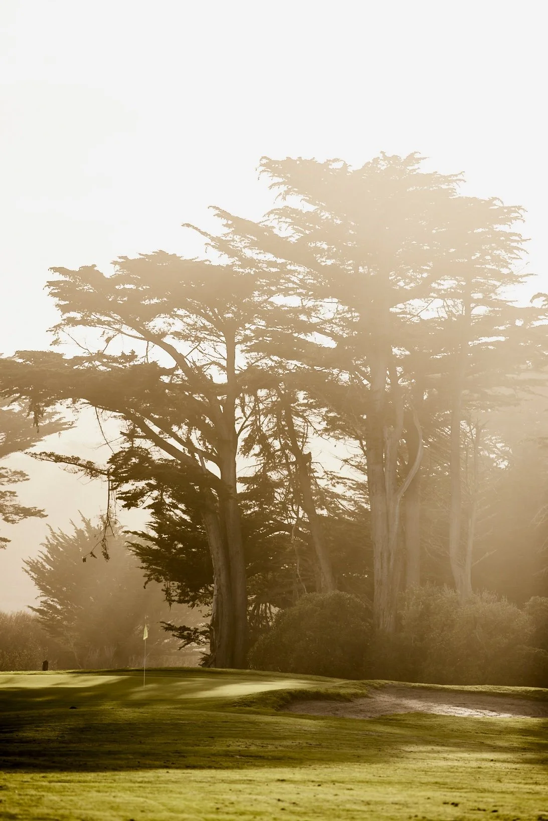 Sharp Park Golf, CA (Copy)